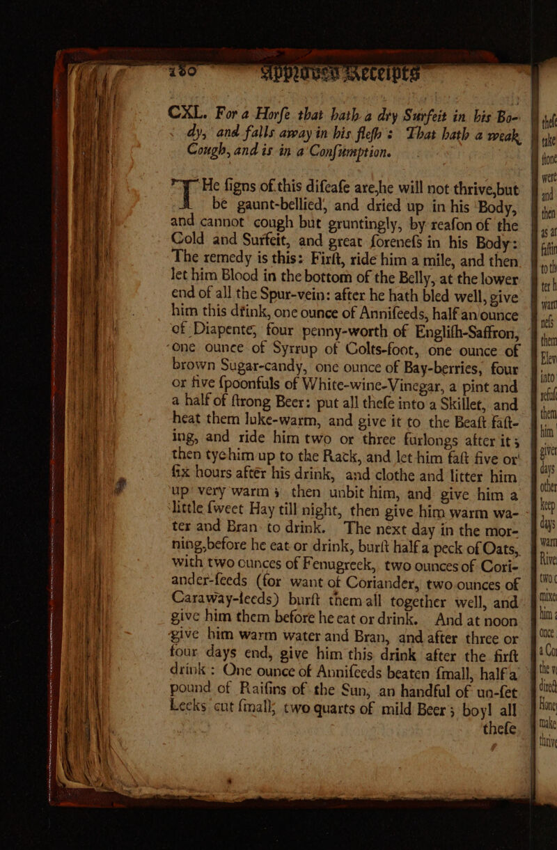 Sao aS = ee ail =a = ‘ei ——&gt; STS i al » day ie CXL. For 2 Horfe that bath a dry Surfeit in bis Bo- hi dy, and falls away in bis flefh : That hath a weak Cough, and is in a'Confumption. | T He figns of this difeafe are,he will not thrive,but be gaunt-bellicd, and dried up in his ‘Body, and cannot cough but gruntingly, by reafon of the Cold and Surfeit, and great forenefs in his Body: The remedy is this: Firft, ride him a mile, and then let him Blood in the bottom of the Belly, at the lower end of all the Spur-vein: after he hath bled well, give him this diink, one ounce of Annifeeds, half an ounce of Diapente, four penny-worth of Englith-Saffron, ‘one ounce of Syrrup of Colts-foot, one ounce of brown Sugar-candy, one ounce of Bay-berries, four or five {poonfuls of White-wine-Vinegar, a pint and a half of {trong Beer: put all thefe into a Skillet, and heat them luke-warm, and give it to the Beaft fatt- |. ing, and ride him two or three furlongs after its i, then ty¢him up to the Rack, and let him faft five ot fix hours aftér his drink, and clothe and litter him up’ very warm 3 then unbit him, and: give him a ‘Little {weet Hay till night, then give him warm wa- ter and Bran to drink. The next day in the mor- ning,before he eat or drink, burft halfa peck of Oats, with two ounces of Fenugreck, two ounces of Cori- ander-feeds (for want of Coriander, two ounces of | Lecks cut {mall; two quarts of mild Beer; boy! all thefe