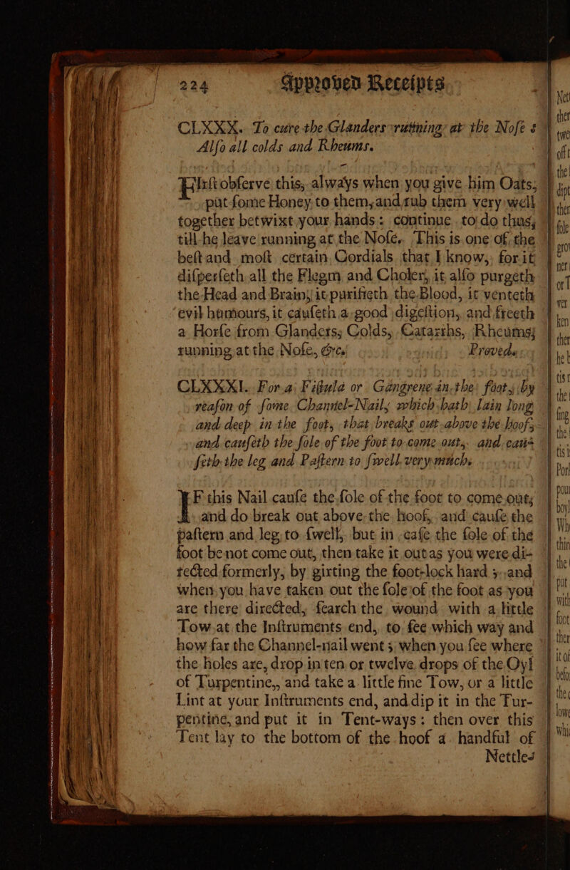 ma | | a ag : i | | ap} | Hee | |: mi | Bene aa ie i a f h i i : ih} ; ‘a K} EN eS MEERA A et ne RC METI re URN es pr ert Smo Seer 4 a = = Alfo all colds and Kheums. pt obferve this, always when you give him Oats; patfome Honey, to them,and rub them very well together betwixt your hands. continue. to:do thus, till he leave running atthe Nofé.. This is.one ofthe difperfeth all the Flegm and Choler, it alfo purgeth the Head and Brainjitpurifieth the.Blood, it venteth evil humours, it cdufeth 4.go0od \digeltion, and freeth a Horfe from Glanders; Colds, Catarrhs,. Rheums; running atthe Nofe, dye. Proved. CLXXXI.. For.a' Figula or Gangrene.én-the: footy by veafon of fome Channel-Nail, which bath lain long and deep inthe foot, that breaks out above the Hoof, and cauféth the fole of the foot to come out, and cans feth-the leg and Pajtern to {well verymuch. ‘-F'this Nail caufe the.fole of the foot to come.out; and do break out above; the. hoof, and caufe the foot benot come out, then take it outas you were di+ tected formerly, by girting the foot-lock hard ;.,and wher you have taken out the fole'of the foot as ‘you Tow,at the Inftruments end,, to, fee which way and how far the Channel-nail went 5 when you fee where the holes are, drop in ten. or twelve. drops of the Oy] of ‘Turpentine, and take a little fine Tow, or a little Lint at your Inftruments end, anddip it in the Tur- pentine, and put it in Tent-ways: then over this Nettles |