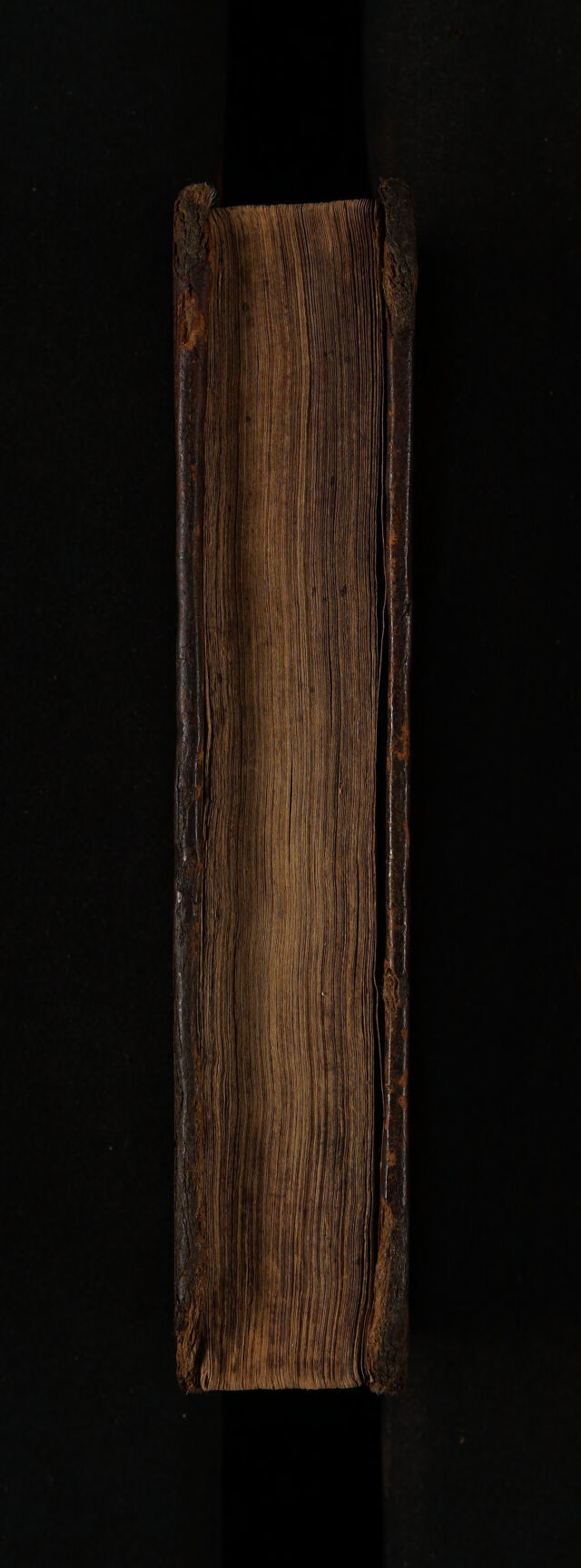 digitised image 3