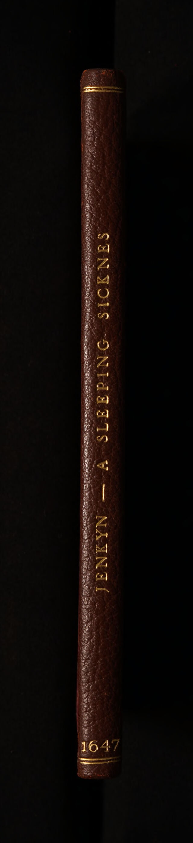 No text description is available for this image