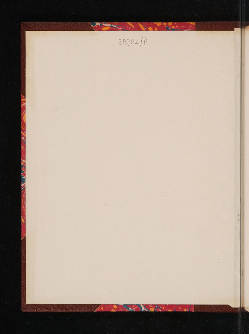 No text description is available for this image