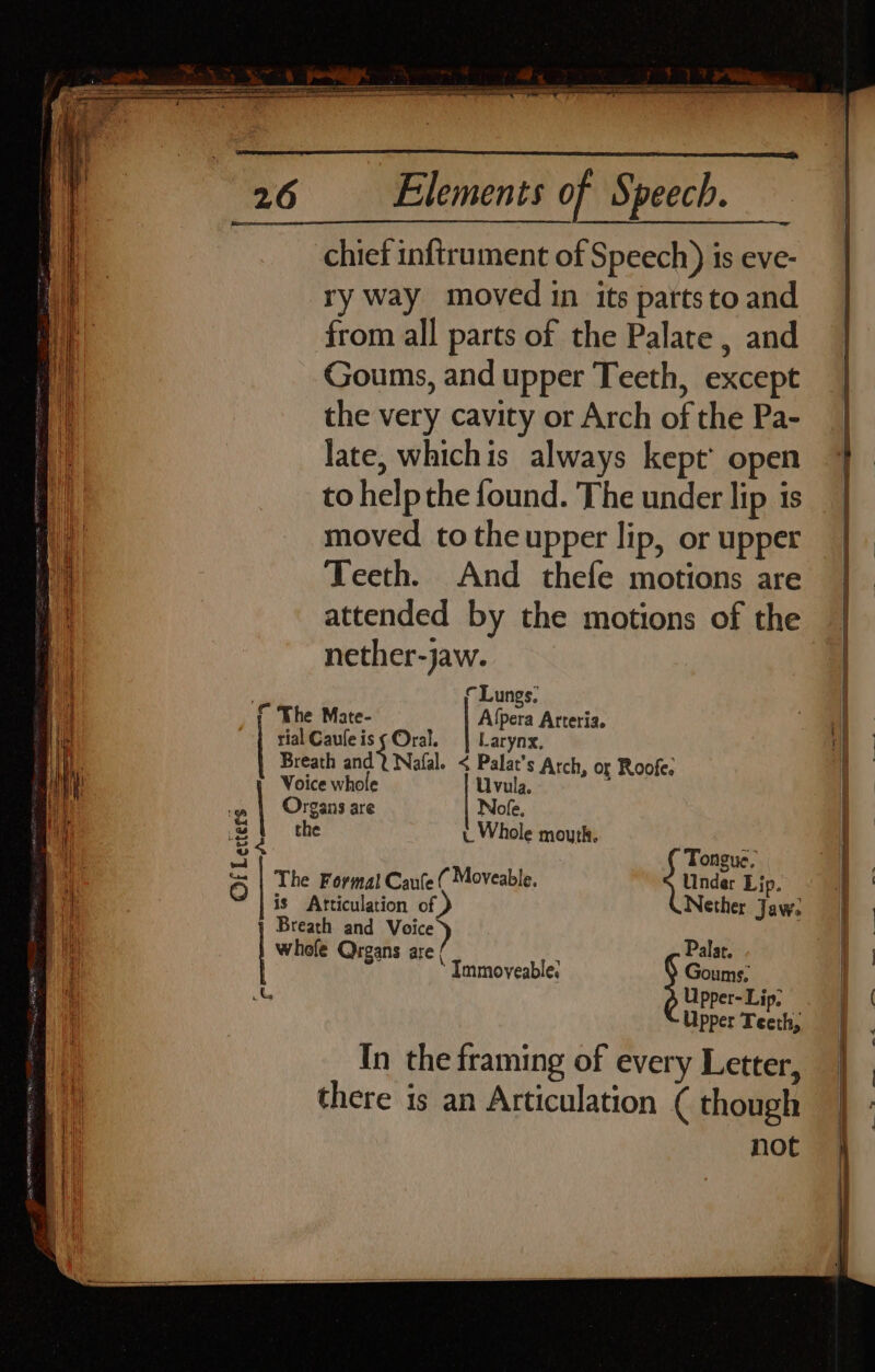 SARTRE Meee mae ee Elements of Speech. chief inftrument of Speech) is eve- a ry way moved in its pattsto and a from all parts of the Palate , and A Goums, and upper Teeth, except | the very cavity or Arch of the Pa- late, whichis always kept’ open | to help the found. The under lip is | moved totheupper lip, orupper | Teeth. And thefe motions are ) | | | i attended by the motions of the i nether-jaw. r Lungs, ( The Mate- Alpera Arteria. | rial Cauleiss Oral. | Larynx, Breath i) Nafal. &lt; ord s Arch, or Roofe. Voice whole Uvula. i a | Organs are | Nofe. | 3 | the u Whole mouth. 34 | Tongue. ., 5 The Formal Caule ( Moveable. Under Lip. i Atticulation of Nether Jaw. | Bie and Voice a | whofe Organs are ; Palat. @ Immoveable. Goums, (hy Upper- Lip. BI Upper Teeth, | In the framing of every Letter, | : there is an Articulation ( though | not