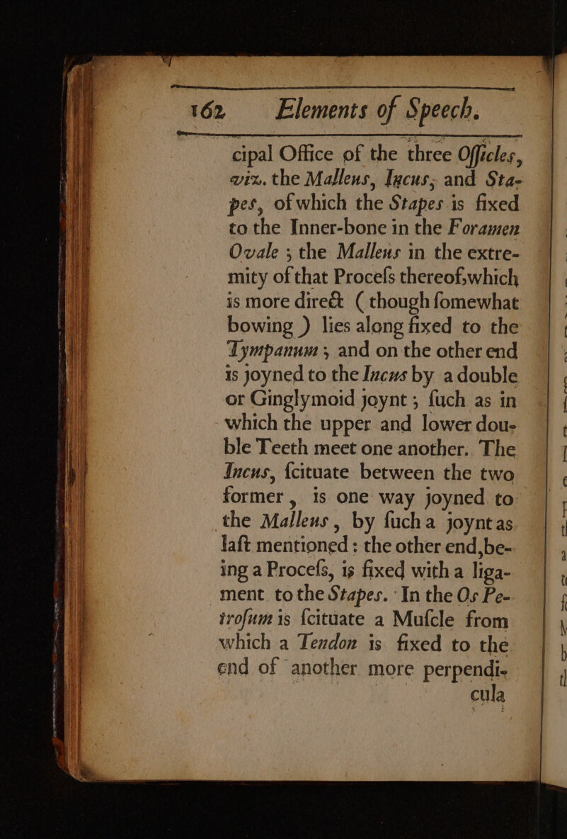 wiz. the Maltlens, Igcus; and Sta- pes, of which the Stapes is fixed to the Inner-bone in the Foramen Ovale ; the Malleus in the extre- mity of that Procefs thereof;which is more direct ( though fomewhat bowing ) lies along fixed to the Tympanum ; and on the other end is joyned to the Izcus by a double or Ginglymoid joynt ; fuch as in which the upper and lower dou- ble Teeth meet one another.. The Incus, {cituate between the two former, is one way joyned. to the Malleus, by fucha joyntas laft mentioned : the other end,be- ing a Procefs, is fixed with a liga- trofum is {cituate a Mufcle from which a Tendon is fixed to the end of another more perpendi- Solin! cula — st ——&lt; om — J) = —— — an Pe a es a9