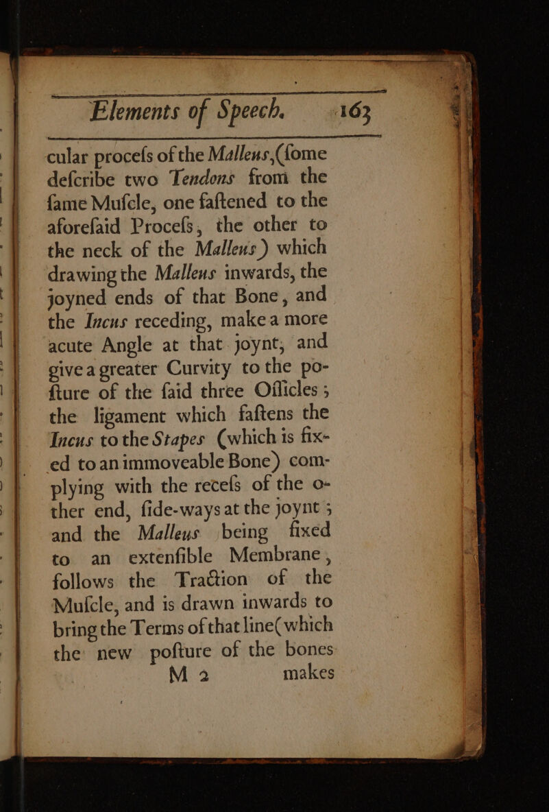 Elements cular procefs of the Mallens,(fome defcribe two Tendons from the fame Mufcle, one faftened to the aforefaid Procefs, the other to the neck of the Mallens.) which drawing the Mallens inwards, the joyned ends of that Bone, and the Incus receding, make a more acute Angle at that joynt, and givea greater Curvity to the po- fture of the faid three Oiflicles ; the ligament which faftens the Incus tothe Stapes (which is fix- ed toanimmoveable Bone) com- plying with the recefs of the o- ther end, fide-ways at the joynt 5 and the Malleus being fixed to an extenfible Membrane , follows the Trattion of the Mulcle, and is drawn inwards to bring the Terms of that line( which the new pofture of the bones