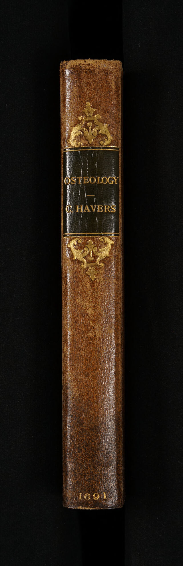 No text description is available for this image