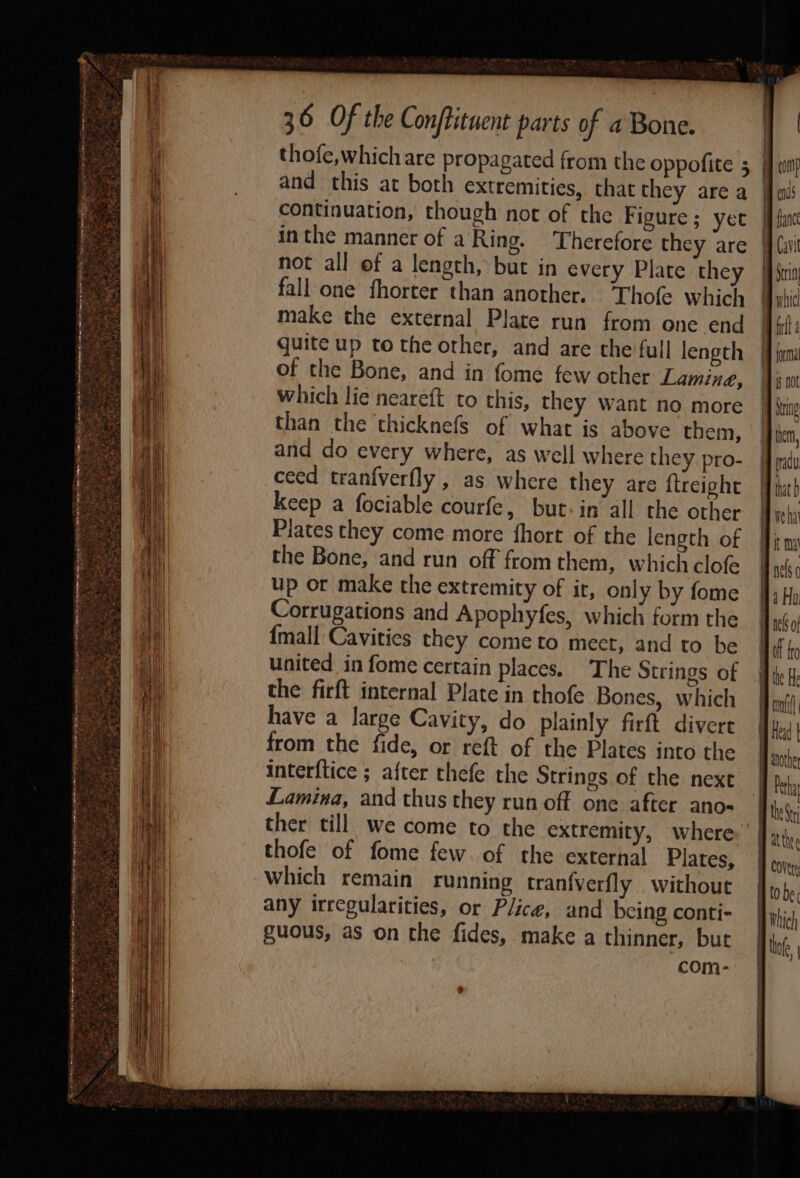 and this at both extremities, chat they area continuation, though not of the Figure ; yet inthe manner of a Ring. Therefore they are not all of a length, but in every Plate they fall one fhorter than another. Thofe which make the external Plate run from one end quite up to the other, and are the full length of the Bone, and in {ome few other Lamine, which lie neareft to this, they want no more than the thicknefs of what is above them, and do every where, as well where they. pro- ceed tranfverfly , as where they are {treight keep a fociable courfe, but: in’ all the other Plates they come more fhort of the length of the Bone, and run off from them, which clofe up or make the extremity of it, only by fome Corrugations and Apophyfes, which form the {mall Cavities they come to meet, and to be united in fome certain places. The Strings of the firft internal Plate in thofe Bones, which have a large Cavity, do plainly firft divere from the fide, or reft of the Plates into the interftice ; after thefe the Strings of the next Lamina, and thus they run off one after ano- ther till we come to the extremity, where thofe of fome few. of the external Plates, which remain running tranfverfly without any irregularities, or Plice, and being conti- guous, as on the fides, make a thinner, but | com- &gt; fal jing hat b weha ft ma nels