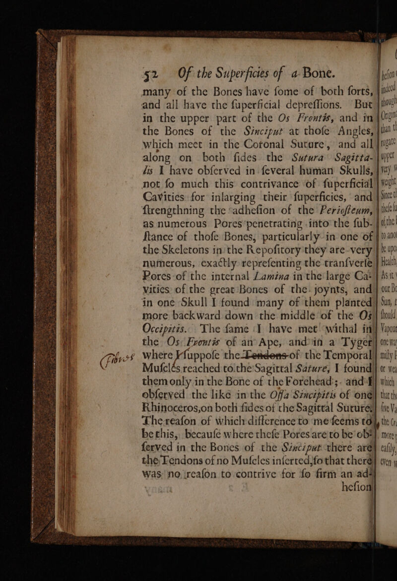 be J SS E ae f, a which meet in the Cotonal Suture, and all Cavities for inlarging their fuperficies, and ftrengthning the sadhefion of the Periofeum, | Vities of the great Bones of the: joynts, and in one Skull I found many of them planted more backward down the middle of the Os Occipitis. The fame ‘I have met ‘withal in} the Os: Frontis of an Ape, andin a Tyger Mufclés reached:to.the'Sagirtal Sarure, I found) them only in the Bone of the Forehead’;. and*B} obferved the like inthe Offa Szncipitis of ond Rhinoceros,on both fides of the Sagitral Suture’ Thereafon of which difference'to mefeems td bethis, becaufe where thefe Pores are'to be’ ob? ferved in the Bones of the Sincipat there aré the Tendons of no Mutcles inferted,fothat there was, no,ireafon to contrive for fo firm an:ad# hefion {0 andl be UDO Sun, t fhould Vapout one wa mily Or Wed Which that th five V3 the Cr cally, Ven y