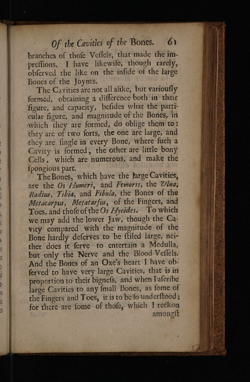 ee TN a OI a ae Le ire RS Of the Cavities of the Bones. 61 branches of thofe Veflels, that made the im- preffions.’ I have likewife, though rarely, obferved the like on the infide of the large Bones of the Joynts. The Cavities are not allalike, but varioufly formed, obtaining a difference both in their figure, and capacity, befides what the parti cular figure, and magnitude of the Bones, in which they are formed, do oblige them to: they are of two forts, the one are large, and they are fingle in every Bone, where fuch a Cavity is formed, the other are little bony Cells, which are numerous, and make the {pongious part. TheBones, which have the large Cavities, are the Os Afumeri, and Femoris, the CUlna, Radius, Tibia, and Fibula, the Bones of the Metacarpus, Metatarfus, of the Fingers, and Toes, and thofeof the Os AHycides. To which we may add the lower Jaw, though the Ca- vity compared with the magnitude of the Bone hardly deferves to be ftiled large, nei- ther does it ferve to entertain a Medulla, but only the Nerve and the Blood-Vefiels. And the Bones of an Oxe’s heart I have ob- ferved to have very large Cavities, that 1s in proportion to their bignefs, and when [afcribe large Cavities to any {mall Bones, as fome.of the Fingers and Toes, itis to be fo underftoed ; for there are fome of thofe, which I reckon amongtft