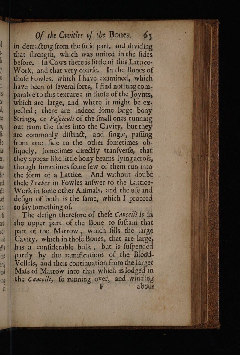 in detracting from the folid part, and dividing (that ftrength, which was united in the fides before. In Cows there is little of this Lattice- Work, and that very coarfe. In the Bones of _thofe Fowles, which Ihave examined, which have been of feveral forts, I find nothing com- parable to this texture: in thofe of the Joynts, which are large, and where it might be ex- pected; there are indeed fome large bony Strings, or Fafciculi of the {mall ones running out from the fides into the Cavity, but they are commonly diftinét, and fingle, pafling from one fide to the other fometimes ob- liquely, fometimes elena tran{verfe, that they appear like little bony beams lying acrois, LP ene ae ; Veraeies Bee Bt Sheps pet Riese ee eee ty SK rt Sere Seyi LT G thefe Zraées in Fowles anfwer to the Lattices | Work in fome cther Animals, and the ufe and defign of both is the fame, which I proceed to fay fomething of. 3 | _ The defign therefore of thefe Cance//i is in the upper part of the Bone to fuftain that part of the Marrow, which fiils the large Cavity, which in thofe Bones, that are large, has a cenfiderable bulk ; but is fufpended partly by the ramifications of the Blodd.- Veflels, and their continuation from the larger Mats of Marrow into that which is lodged in the Cancelli,. fo running over, and winding iE abole