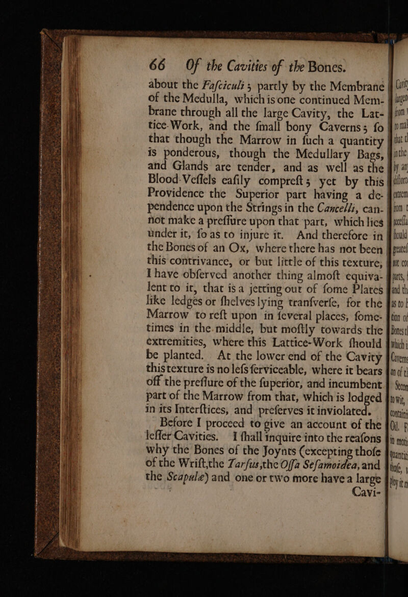 about the Fa/ciculi; partly by the Membrane of the Medulla, which is one continued Mem. | brane through all the large Cavity, the Lat- | tice-Work, and the fmall bony Caverns; fo | that though the Marrow in fuch a quantity | is ponderous, though the Medullary Bags, | and Glands are tender, and as well as the| Blood-Veflels eafily compreft; yet by this| Providence the Superior part having a de- pendence upon the Strings in the Cance//, can- | not make a preffure upon that ‘part, which lies under it, fo as to injure it. And therefore in the Bones of an Ox, where there has not been | this contrivance, or but little of this texture, | Thave obferved another thing almoft equiva-, lent to ir, that isa jerting our of fome Plates like ledges or fhelves lying tranfverfe, for the | | Cant hg tat inthe extrem fom t hi times in the.middle, but moftly towards the extremities, where this Lattice-Work fhould be planted. At the lower end of the Cavity thistexture is no lefs ferviceable, where it bears off the preflure of the fuperior, and incumbent part of the Marrow from that, which is lodged | in its Interftices, and preferves it inviolated. Before I proceed to give an account of the why the Bones of the Joynts (excepting thofe of the Wrift,the Zarfus,the Offa Sefamoidea, and the Scapale) and one or two more havea large sh Cavi- Wantit lof, | bovitn