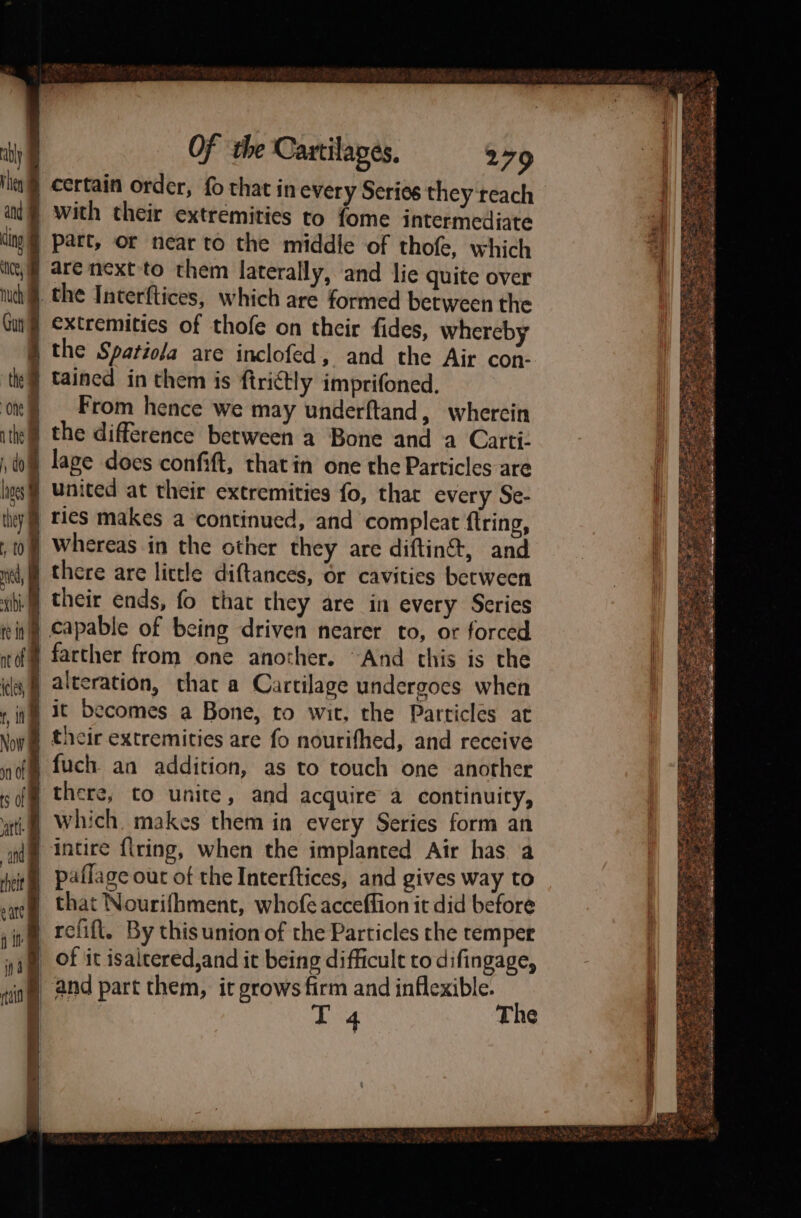 certain order, fo that in every Series they reach j with their extremities to fome intermediate cing Part, or near to the middle of thofe, which ike,§ are next'to them laterally, and lie quite over Huth the Interftices, which are formed between the | extremities of thofe on their fides, whereby } the Spatiola are inclofed, and the Air con- tained in them is ftritly imprifoned. From hence we may underftand, wherein | the difference between a Bone and a Carti- lage does confift, thatin one the Particles are United at their extremities fo, thar every Se- tes makes a continued, and compleat ftring, whereas in the other they are diftin®t, and there are little diftances, or cavities between their ends, fo that they are in every Series capable of being driven nearer to, or forced farther from one another. “And this is the j alteration, that a Cartilage undergoes when | ic becomes a Bone, to wit, the Particles at thicir extremities are fo nourifhed, and receive fuch an addition, as to touch one another there, to unite, and acquire a continuity, which. makes them in every Series form an intire {lring, when the implanted Air has a paflage out of the Interftices, and gives way to that Nourifhment, whofe acceffion it did before refift., By this union of the Particles the temper of it isaltered,and it being difficult to difingage, § and part them, it grows firm and inflexible. = T 4 The (=p) = PS oA ce ae pee ae “ ae 'h Ss = Cu ade! ‘i SAeseob iat Ee Pee ig ee i at he ait Che arene Ot Ae gi ee BE ures Pet OE Ae st Sa Sn Was a ANN Aly MG iene Rete 2a 8 sea 4 ee Ries wa Re Pe ae whsarabee