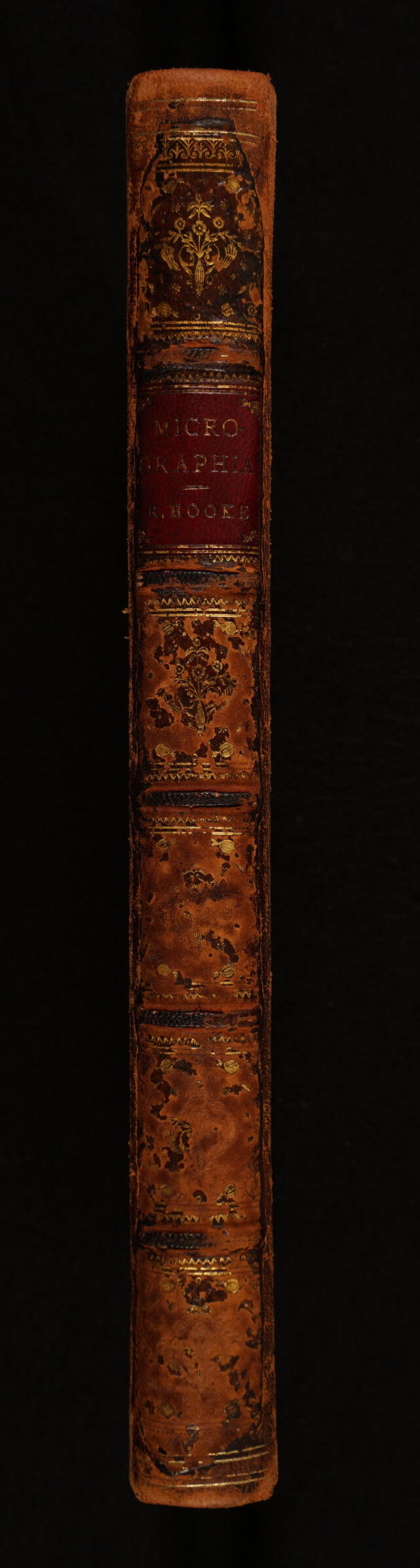 No text description is available for this image