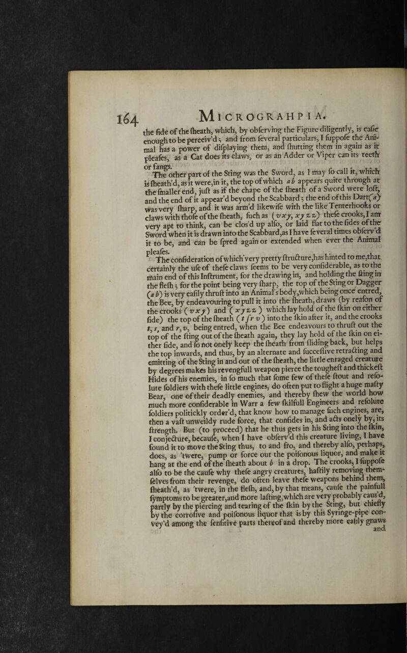 the fide of the (heath, which, by obferving the Figure diligently, is eafie enough to be perceiv’d i and from feveral particulars, I fuppofe the Aniv mal has a power of delaying them, and (hutting them in again as it pleaies, as a Cat does its claws, or as an Adder or Viper can its teeth' °f The other part of the Sting was the Sword, as 1 may fo call it, which is fheath’d, as it were,in it, the top of which a b appears quite through at the fmallet end, juft as if the chape of the (heath of a Sword were loft, and the end of it appear’d beyond the Scabbard 5 the end of this Dartf*) was very (harp, and it was arm’d likcwife with the like Tenterhooks or claws with thofe of the (heath, fuch as (vxy, xy z a) thefe crooks, I anr very apt to think, can be clos’d up alfo, or laid flat to the fides of the Sword when it is drawn into the Scabbard,as I have feveral times oblerv d it to be, and can be (pred again or extended when ever the Animal ^ The confideration ofwhichvery pretty ftru<fture,hns hinted to me,that certainly the ufeof thefe claws feems to be very confiderable, as to the main end of this Inftrument, for the drawing in, and holding the fting in the fleflh 5 for the point being very (harp, the top of the Sting or Dagger (a b) is very eafily thruft into an Animal’s body,which being once entred, the Bee, by endeavouring to pull it into the (heath, draws (by reafon of the crooks ( v xy ) and ( xy z z ) which lay hold of the (kin on either fide) the top of the (heath (tfrv) into the (kin after it, and the crooks t s and r,z/, being entred, when the Bee endeavours to thruft out the top of the fting out of the (heath again, they lay ho]d of the (kin on ei¬ ther fide, andfotiotonely keep the (heath from Aiding back, but helps the top inwards, and thus, by an alternate and (iicceflive retracting and emitting of the Sting in and out of the (heath, the little enraged creature by degrees makes his revengfull weapon pierce the tougheft and thickeit Hides of his enemies, in fo much that fome few of thefe ftout and re(o- lute foldiers with thefe little engines, do often put to flight a huge malty Bear, one of their deadly enemies, and thereby Chew the world how much more confiderable in Warr a few (kilfull Engineers and refolute foldiers politickly order’d, that know how to manage (uch engines, are, then a vaft unweildy rude force, that confides in, and acb onelyby, its ftrength. But (to proceed) that he thus gets in his Sting into the (km, I conjecture, becaufe, when I have obferv d this creature living, I have found it to move the Sting thus, to and fro, and thereby alfo, perhaps, does, as ’twere, pump or force out the poilonous liquor, and make it hang at the end of the (heath about b in a drop. The crooks, I foppofe alfo to be the caufe why thefe angry creatures, haftily removing them- (elvesfrom their revenge, do often leave thefe weapons behind them, fheath’d, as ’twere, in the fleih, and, by that means, caufe the pamlull fymptoms to be greater,and more lading,which are very probably 3 partly by the piercing and tearing of the (kin by the Sting, but chietly by the corrofive and poifonous liquor that is by this Syringe-pipe con¬ vey’d among the fenfitive parts thereof and thereby more ealily gnaws