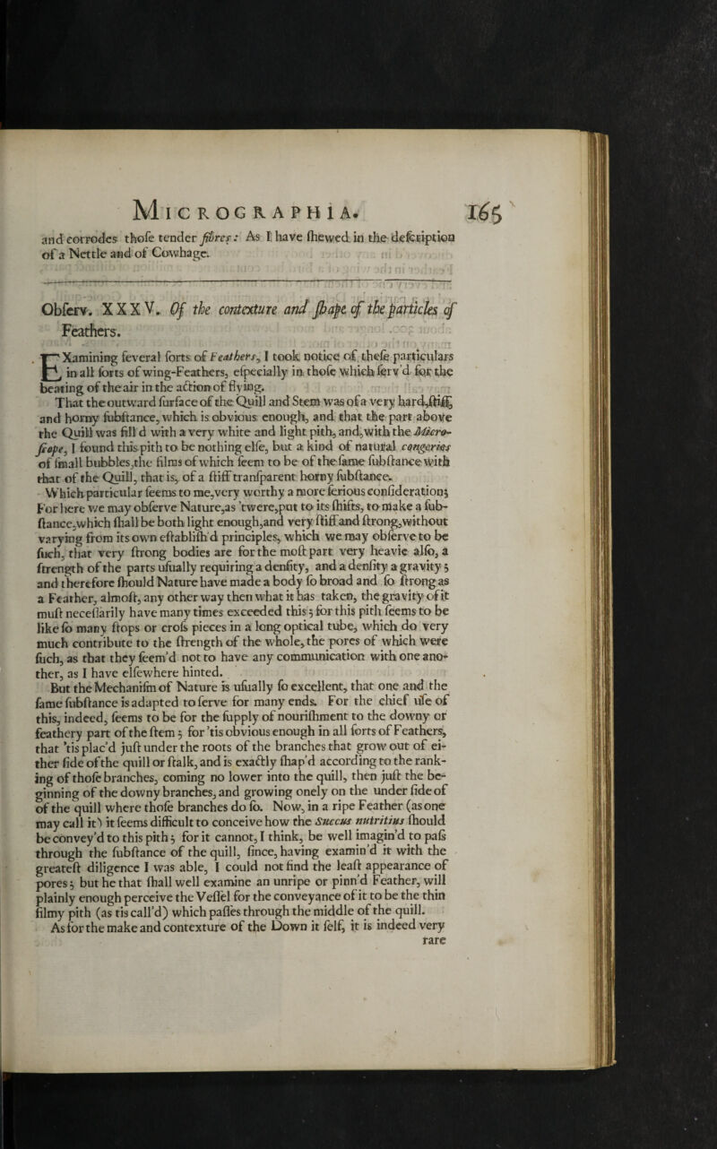 and corrodes thofe tender fibres: As I. have (hewed in the defcciption of a Nettle and of Cowhage. f:'a!:' -* JH;. 15 > ;> ... Hi i l l 1 i ‘ i >'? Jfi i HI *fOil tf;*> *| *-— 1 “ ~ “ Obfcrv. XXXV. Of the contexture and Jbape of the particles cf Feathers. r n. A r/n :4 .■ ;•* Examining feveral forts of Feathers, I took notice of thefe particulars in all forts of wing-Feathers, efpecially in thofe which ferv’d for the beating of the air in the action of flying. That the outward forface of the Quill and Stem was of a very hard,ftif£ and horny fobflance, which is obvious enough, and that the part above the Quill was fill d with a very white and light pith, and,with the Micro- fiope, I found this pith to be nothing elfe, but a kind of natural congerm of final! bubbles,the films of which feem to be of the fame fob fiance with that of the Quill, that is, of a ftiff tranfparent horny fobflance. Which particular feems to me,very worthy a more ferious eonfideration$ For liere we may obferve Nature,as ’twere,put to its fhifts, to make a fub- ftance,which fhall be both light enough,and very ftiffand flrong,without varying from its own eftablifh d principles, W'hich we may obferve to be fuch, that very flrong bodies are for the moft part very heavie alfo, a ftrength of the parts ufoally requiring a denfity, and a denfity a gravity 3 and therefore fhould Nature have made a body fo broad and fo flrong as a Feather, almofl, any other way then what it has taken, the gravity of it mufl neceflarily have many times exceeded this 5 for this pith feems to be like fo many flops or croft pieces in a long optical tube, which do very much contribute to the ftrength of the whole, the pores of which were fuch, as that they feem’d not to have any communication with one ano¬ ther, as I have elfewhere hinted. But the Mechanifm of Nature is ufoally fo excellent, that one and the fame fubflance is adapted to ferve for many ends. For the chief life of this, indeed, feems to be for the fopply of nourifhment to the downy or feathery part of the flem 3 for ’tis obvious enough in all forts of Feathers, that ’tis plac’d juft under the roots of the branches that grow out of ei¬ ther fide of the quill or ftalk, and is exaftly fhap’d according to the rank¬ ing of thofe branches, coming no lower into the quill, then juft the be¬ ginning of the downy branches, and growing onely on the under fide of of the quill where thofe branches do fo. Now, in a ripe Feather (as one may call it> it feems difficult to conceive how the Succus nutritius fhould be convey’d to this pith 3 for it cannot, I think, be well imagin’d to paft through the fobflance of the quill, fince, having examin’d it with the greateft diligence I was able, 1 could not find the leaf! appearance of pores 3 but he that fhall well examine an unripe or pinn’d Feather, will plainly enough perceive the Veflel for the conveyance of it to be the thin filmy pith (as tis call’d) which pafles through the middle of the quill. As for the make and contexture of the Down it felf, it is indeed very rare