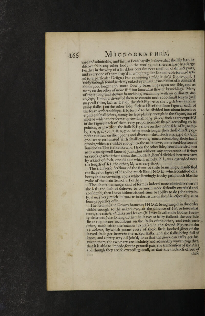 rare and admirable, and fuch as 1 can hardly believe,that the like is to be difcover'd in any other body in the world 5 for there is hardly a large Feather in the wing of a Birdbut contains neer a million of diltinCt parts, and every one of them lhap’d in a molt regular &. admirable form,adapt- ed to a particular Defign : For examining a middle cizd Goole-quill, I eafily enough found with my naked eye,that the mam Item of it contain d about 200. longer and more Downy branchings upon one fide, and as many on the other of more ftiff but fomewhat fhorter branchings. Many of thefe long and downy branchings, examining with an ordinary Mg- crofcope, I found divers of them to contain neer 1200. imall leaves (as I may call them, fuch as EF of the firft Figure of the 23. Scheme) and as many ftalks 4 on the other fide, fuch as IK of the fame Figure, each of the leaves orbranchings, E F, feem’d to be divided into about fixteen or eighteen fmall joints, as may be feen plainly enough in the Figure, out of * molt of which there feem to grow fmall long fibres, fuch as are exprefs d in the Figure, each of them very proportionably lhap’d according to its , pofition or plac^bn the (talk E F 5 thofe on the under fide of it, name¬ ly, 1,2, 3,4, 5,6, 7,8,9,6'c. being much longer then thofe direftlyop- polite to them on the upper 5 and divers of them, fuch as 2,3,4,5,6,758,9, &c. were terminated with fmall crooks, much refembling thofe fmall crooks,which are vilible enough to the naked eye, in the feed-buttons of Bur-docks. The ftalks likewife, IK on the other fide, feem’d divided into neer as many fmall knotted joints,but without any appearance of ftrings or crooks,each of them about the middle K,feem’d divided into two parts by a kind of fork, one fide of which, namely, K L, was extended neer the length of KI, the other, M, was very Ihort. The tranfverfe Sections of the ftems of thefe branchings, mamfefted the lhape or figure of it to be much like I N O E, which confifted of a horny lkin or covering, and a white feemingly frothy pith, much like the make of the main ftem of a Feather. . The ule ofthisftrange kind ofform,is indeed more admirable then all the reft, and fuch as deferves to be much more ferioully examin’d and confider’d, then I have hitherto found time or ability to do 5 for certain¬ ly, it may very much inftruft us in the nature of the Air, elpecially as to lome properties of it. The ftems of the Downy branches IN O E, being rang d m the order vilible enough to the naked eye, at the diftance of I F, or fomewhat more, the collateral ftalks and leaves (if I may fo call thofe bodies I new¬ ly delcribed) are fo rang’d, that the leaves or hairy ftalks of the one fide lie at top, or are incumbent on the ftalks of the other, and crols eaclt <*• other, much after the manner exprels’d in the lecond Figure of the 2%. Scheme, by which means every of thole little hooked fibres of the leaved ftalk get between the naked ftalks, and the ftalks being full of knots, and a prety way dif-join’d*, fo as that the fibres can eafily get be¬ tween them, the two parts are fo clofely and admirably woven together, that it is able to impede,for the greateft pajt, the tranfeurfion of the Air j and though they are fo exceeding Imall, as that the thicknels of one of thele