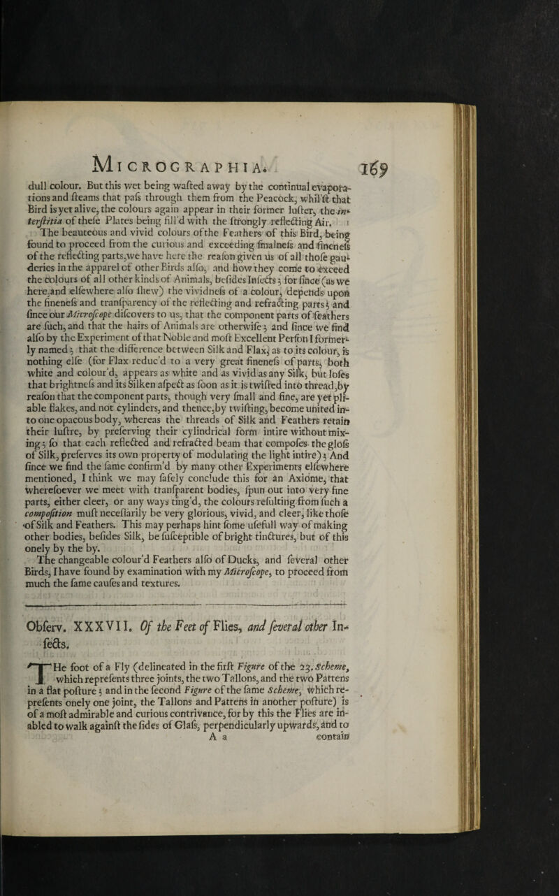dull colour. But this wet being wafted away by the continual evapora¬ tions and fteams that pals through them from the Peacock, whil’ft that Bird is yet alive, the colours again appear in their former lufter, them* terjlitia of thele Plates being fill'd with the ftrongly rcfle&ing Air. The beauteous and vivid colours ofthe Feathers of this Bird, being found to proceed from the curious and exceeding fmalnefs and finenel of the reflecting parts,we have here the reafon given us of ail thole gau^- deries in the apparel of other Birds aifo, and how they come to exceed the colours of all other kinds of Animals, befides Infe&s} for fiftce (as we here,and elfewhere alfo ftiew) the vividnefs of a colour, depends upon the finenefs and tranfparency of the refie&ing and refra&ing parts $ and fince our Mcrofiepe difeovers to us, that the component parts of feathers are fuch,and that the hairs of Animals are otherwife^ and fince we find alfo by the Experiment of that Noble and moft Excellent Perlbn I former¬ ly named 5 that the difference between Silk and Flax.; as to its colour, is nothing elfe (for Flax reduc’d to a very great finenefs of parts, both white and colour’d, appears as white and as vivid as any Silk, butlofes that brightnefs and its Silken afpeCt as foon as it is twifted into thread,by realon that the component parts, though very fmall and fine, are yet pli¬ able flakes, and not cylinders, and thence,by twifting, become united in¬ to one opacous body, whereas the threads of Silk and Feathers retain their luftre, by preferring their cylindrical form intire without mix¬ ings fo that each refle&ed and refracted beam that compofes theglofs of Silk,preferves its own property of modulating the light intire) 5 And fince we find the fame confirm’d by many other Experiments elfewhere mentioned, I think we may fafely conclude this for an Axiome, that Wherefoever we meet with tranfparent bodies, fpun out into very fine parts, either cleer, or any ways ting’d, the colours refulting ftom fuch a compojition muft neceflarily be very glorious, vivid, and cleer, like thole •ofSilk and Feathers. This may perhaps hint fome ufefull way of making other bodies, befides Silk, be fufceptible of bright tin&ures, but of this onely by the by. The changeable colour’d Feathers alfo of Ducks, and feveral other Birds, I have found by examination with my Microjcope, to proceed from much the fame caufes and textures. - -------•----- Obferv. XXXVII. Of the Feet of Flies, and feveral other In* feds* \ ' * ’ * * * / ' . { , THe foot of a Fly (delineated in thefirft Figure of the 23.Scheme, which reprefents three joints, the two Tallons, and the two Pattens in a flat pofture 3 and in the fecond Figure of the fame Scheme, Which re¬ prefents onely one joint, the Tallons and Pattefis in another pofture) is of a moft admirable and curious contrivance, for by this the Flies are in- abled to walk againft the fides of Glafs, perpendicularly upwards, and to A a contain