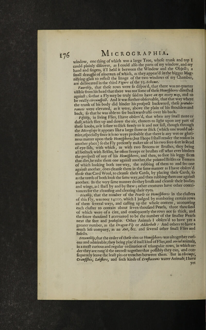 window, one thing of which was a large Tree, whofe trunk and top I could plainly difcover, as I could alfo the parts of ray window, and my hand and fingers, if I held it between the Window and the Object} a (mall draught of nineteen of which, as they appear’d in the bigger Mag- nifying-glafs to refled the Image of the two windows of my Chamber, are delineated in the third Figure of the 23. Scheme. Fourthly, that thefe rows were fo difpos'd, that there was no quarter vifible from his head that there was not'fome of thef'^Hemispheres dire&ed againft 3 fo that a Fly may be truly faidto have an eye every way, and to be really circumfpeB. And it was further obfervable, that that way where the trunk of his body did hinder hisprofpea backward, thefe protube¬ rances were elevated, as it were, above the plain of his fhoulders and back, lo that he was able to fee backwards alfo over his back. Fifthly, in living Flies, I have obferv’d, that when any (mall mote or duft, which Hies up and down the air, chances to light upon any part of thefe knobs, as it isfure to ftick firmly to it and not fall, though through the Microfcopc it appears like a large ftone or ftick (which one would ad¬ mire, efpecially fince it is no ways probable that there is any wet or gluti¬ nous matter upon thefe Hemifpheres,but I hope I (hall render the reafon in another place) fo the Fly presently makes ufe of his two fore-feet in ftead of eye-lids, with which, as with two Brooms or Brufhes, they being all beftuck with Brilles, he often Tweeps or brufhes off what ever hinders the profpeft of any of his Hemifpheres, and then, to free his leggs from that dirt,he rubs them one againft another,the pointed Bnfles or Tenters of which looking both oneway, the rubbing of them to and fro one againft another, does cleanfe them in the lame manner as I have oblerv d thole that Card Wool, to cleanfe their Cards, by placing their Cards, fo as the teeth of both look the fame way,and then rubbing them one againft another. In the very fame manner do they brufh and cleanfe their bodies and wings, as 1 lhall by and by fhew 3 other creatures have other contri¬ vances for the cleanfing and cleering their eyes. Sixthly, that the number of the Pearls or Hemifpheres in the clufters of this Fly, wasneer 14000. which I judged by numbering certain rows of them feveral ways, and calling up the whole content, accounting each clufter to contain about feven thoufand Pearls, three thou land of which were of a cize, and confequently the rows not fo thick, and the foure thoufand I accounted to be the number of the {mailer Pearls next the feet and probofeis. Other Animals I obferv d to have yet a greater number, as the Dragon-Fly or Adderbolt .* And others to have a much lefs company, as an Ant, Sec. and feveral other fmall Flies and Infetts. Seventhly ,that the order of thefe eies or Hemifpheres was altogether curi¬ ous and admirable,they being plac’d inallkind oft lies,and aerial animals, inamoft curious and regular ordination of triangular rows, in which or¬ der they are rang’d the neereft together that poflibly they can, and con¬ fequently leave the leaft pits or trenches between them. But in shrimps, CrawfiJheS) Lobfiers^ and fiich kinds of Crufaceons water Animals, I have yet *