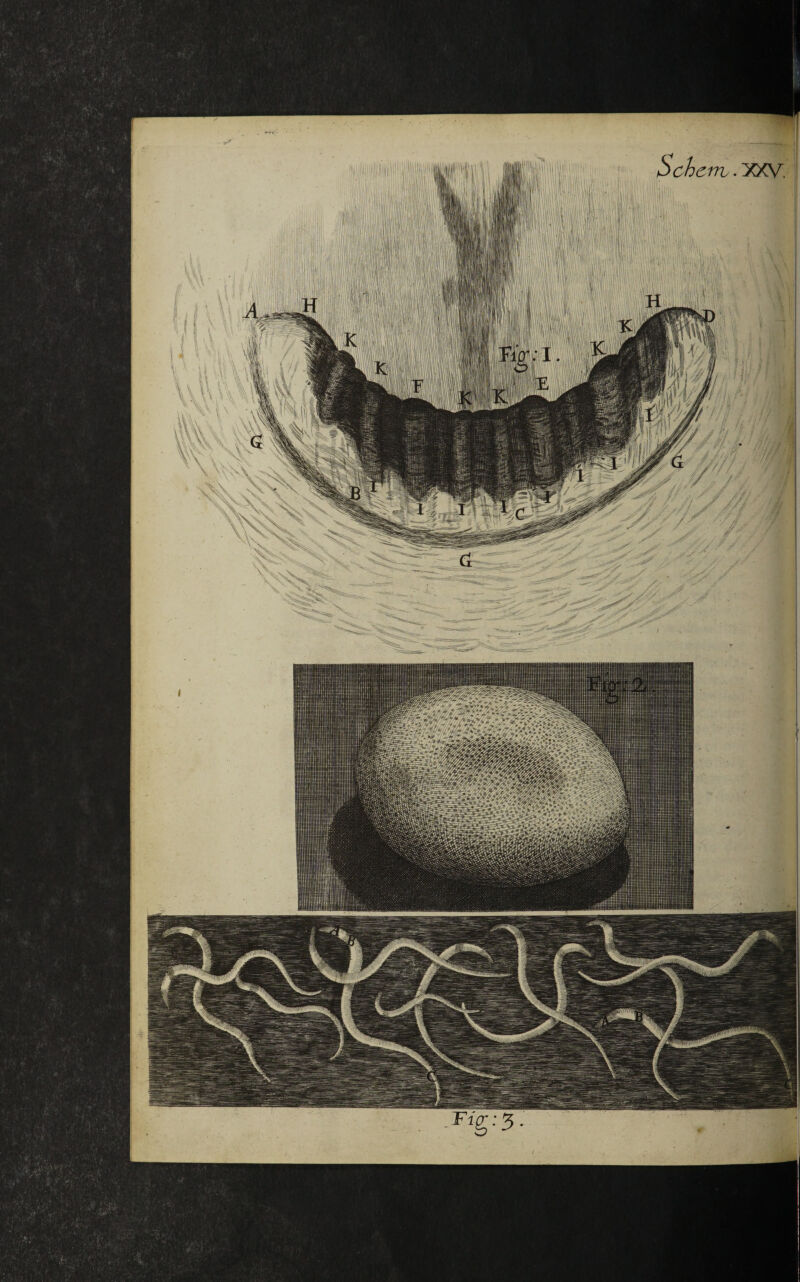 BSfefe4llSk. jk S^ss Wt~~ ^r-^?gg=| J|§|§| || j35| 3ffefS y jig r -A ^^8^ %^.r^ TTr'^feat -- g JimS „ .p—^1 pp Hfl