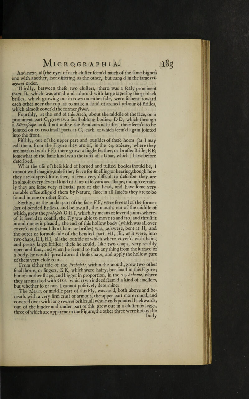And next;, all the eyes of each clufter feem’d much of the fame bignefs one with another, not differing as the other, but rang’d in the fame tri- agonal order. Thirdly, between thefe two clufters, there was a fcaly prominent front B, which was arm’d and adorn’d with large tapering fharp black brifles, which growing out in rows on either fide, were fo bent toward each other neer the top, as to make a kind of arched arbour of Brifles, which almoft cover’d the former front. Fourthly, at the end of this Arch, about the middle of the face, on a prominent part C, grew two fmall oblong bodies, D D, which through a Microfcopc look’d not unlike the Pendants in Lillies, thefe feem’d to be jointed on to two fmall parts at C, each of which feem’d again jointed into the front. Fifthly, out of the upper part and outfides of thefe horns (as I may call them, from the Figure they are of, in the 24. Scheme, where they are marked with F F) there grows a fingle feather, or brufhy Brifle, EE* fomewhat of the fame kind with the tufts of a Gnat, which 1 have before defctibed. What the ufe of thefe kind of horned and tufted bodies fhould be, I cannot well imagine,unlefs they ferve for frnelling or hearing,though how they are adapted for either, it feems very difficult to defcribe they are in almoft every feveral kind of Flies of fb various a fhape, though certain¬ ly they are fome Very eflential part of the head, and have fome very notable office aflign’d them by Nature, fince in all Infe&s they are to be found in one or other form. Sixthly, at the under part of the face F F, were feveral of the former fort of bended Brifles 3 and below all, the mouth, out of the middle of which, grew the probofck GHI, which,by means of feveral joints, where¬ of it feem'd to confift, the Fly was able to move to and fro, and thrufl: it in and out as it pleas’d 3 the end of this hollow body (which was all over cover’d with fmall fhort hairs or brifles) was, as ’twere, bent at FI, and the outer or formoft fide of the bended part H I, flit, as it were, into two chaps, H I, H I, all the outfide of which where cover’d with hairs* and pretty large brifles 3 thefe he could, like two chaps, very readily open and fhut, and when he feem’d to fuck any thing from the furface of a body, he would fpread abroad thofe chaps, and apply the hollow part of them very clofe to it. From either fide of the Probojcis, within the mouth, grew two other fmall horns, or fingers, K K, which were hairy, but fmall in this Figure 3 but of another fhape, and bigger in proportion, in the 24 .Scheme^ where they are marked with G G, which two indeed feem d a kind of fmellers, but whether fb or not, I cannot pofitively determine* The Thorax or middle part of this Fly, was cas’d, both above and be¬ neath, with a very firm crufl of armour, the upper part more round, and covered over with long conical brifles,all whole ends pointed backwards} out of the hinder and under part of this grew out in a clufter fix leggs, three of which are apparent in the Figure,the other three were hid by the body