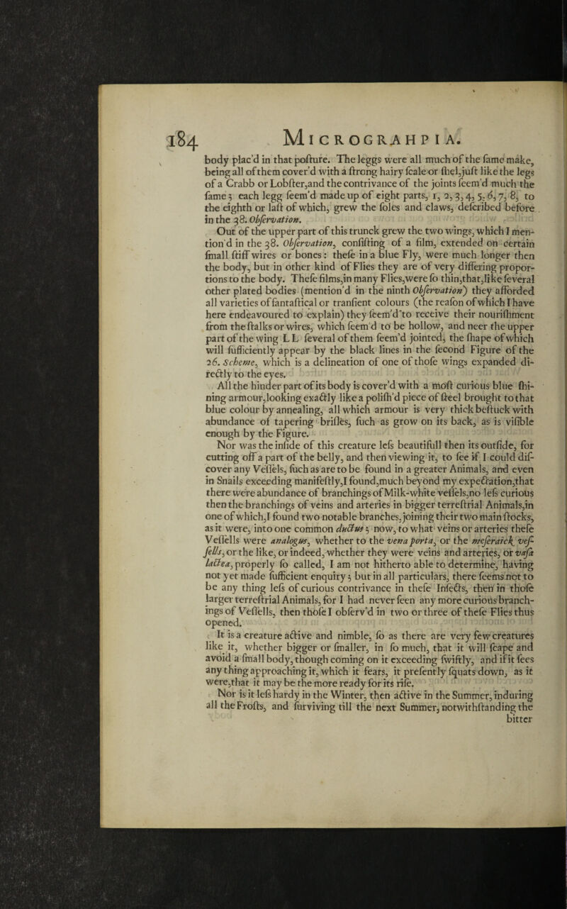 body plac’d in that pofture. The leggs were all much of the fame make, being all of them cover’d with a ftrong hairy fcale or fhel, juft like the legs of a Crabb or Lobfter,and the contrivance of the joints feem’d much the fame 5 each legg feem’d made up of eight parts, i, 2,3,4, 5. 6, 7, 8, to the eighth or laft of which, grew the foies and claws, defcribed before in the 38. Obfervation. Out of the upper part of this trunck grew the two wings, which I men¬ tion’d in the 38. Obfervation, conlifting of a film, extended on certain fmall ftiff wires or bones: thefe in a blue Fly, were much longer then the body, but in other kind of Flies they are of very differing propor¬ tions to the body. Thefe films,in many Flies,were fo thin,that,li ke feveral other plated bodies (mention’d in the ninth Obfervation) they afforded all varieties offantaftical or tranfient colours (the reafbn ofwhichlhave here endeavoured to explain) they feem’dto receive their nourifhment from the ftalks or wires, which feemd to be hollow, andneer the upper part of the wing L L feveral of them feem’d jointed, the fhape of which will fufliciently appear by the black lines in the fecond Figure of the 26. Scheme, which is a delineation of one of thofe wings expanded di- redly to the eyes. All the hinder part of its body is cover’d with a moft curious blue fhi- ning armour,looking exadly like a polifh’d piece of fteel brought to that blue colour by annealing, all which armour is very thick beftuck with abundance of tapering brifles, fuch as grow on its back, as is vifible enough by the Figure. Nor was the infide of this creature lefs beautifull then its outfide, for cutting off a part of the belly, and then viewing it, to fee if I could dis¬ cover any Veffels, fuch as are to be found in a greater Animals, and even in Snails exceeding manifeftly,I found,much beyond my expedation,that there were abundance of branchings of Milk-white veffels,no lefs curious then the branchings of veins and arteries in bigger terreftrial Animals,in one of which,I found two notable branches, joining their two main ftocks, as it were, into one common chitfus 5 now, to what veins or arteries thefe Veflells were analogue, whether to the vena porta, or the meferaick^ vef fells, or the like, or indeed, whether they were veins and arteries, or vaft lattea, properly fo called, I am not hitherto able to determine, having not yet made fufficient enquiry 5 but in all particulars, there feems net to be any thing lefs of curious contrivance in thefe Infeds, then in thofe larger terreftrial Animals, for I had never feen any more curious branch¬ ings of Veflells, then thofe I obferv’d in two or three of thefe Flies thus opened. It is a creature adive and nimble, fb as there are very few creatures like it, whether bigger or fmaller, in fo much, that it will fcape and avoid a fmall body, though coming on it exceeding fwiftly, and if it fees any thing approaching it, which it fears, it prefently fquats down, as it were,that it may be the more ready for its rife. Nor is it lefs hardy in the Winter, then adive in the Summer, induring alltheFrofts, and farming till the next Summer, notwithftanding the bitter