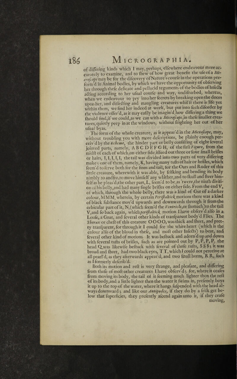 186 Micrograph ia. of differing kinds which I may, perhaps, elfewhere endeavour more ac¬ curately to examine, and to fhew of how great benefit the uie ofa Mi- crolcope may be for the difcovery of Nature s courfe in the opeiations per¬ form’d in Animal bodies, by which we have the opportunity of obferving her through thele delicate and pellucid teguments of the bodies ofInle<ds acting according to her ufual courfe and way, undiduibed, whereas, when we endeavour to pry into her lecrets by breaking open the doors upon her, and difl'efting and mangling creatures whil'd there is life yet within them, we find her indeed at work, but put into fuch diforder by the violence offer’d, as it may eafily be imagin’d,how. differing a thing we fhould find,if wecould,aswe can with a Microfcopejn thele fmaller crea¬ tures, quietly peep in at the windows, without frighting her out of her ufual byas. The form of the whole creature, as it appear’d in theMcrofcope, may, without troubling you with more deferiptions, be plainly enough per¬ ceiv’d by the Scheme^ the hinder part or belly confiding ol eight feveral jointed parts, namely, A B C D E F G H, of the fil'd Figure^ from the midd of each of which,on either fidedfliied out three or four fmall brides or hairs, I, I, I, I, I, the tail was divided into two parts of very differing make3 one of them, namely, K, having many tufts of hair or brides, which feem’d to lerve both for the finns and tail, for the Oars and Pvuder of this little creature, wherewith it was able, by frifking and bending its body nimbly to andfio,to move himfelf any whither,and to fkull and deer him- felfas he pleas’d^the other part, L, feem’d to be,as twere,the ninth divifi- on of his belly,and had many (ingle brides on either fide. From the end V, of which, through the whole belly, there was a kind of Gut of a darker colour, M M M, wherein, by certain Pcr/Jialti^motions there was a kind of black fubdance mov’d upwards and downwards through it from the orbicular part of it, N,( which feem’d the Ventricle,or domach)to the tail V,and fo back again, whichperifialticl{_ motion I have obferv d alfo in a Louie, a Gnat, and feveral other kinds of tranlparent body d Flies. The Thorax or ched of this creature O O O O, was thick and Ihort, and pret¬ ty tranlparent, for through it I could lee the white heart (which is the colour alfo of the bloud in thefe, and mod other Infers) to beat, and feveral other kind of motions. It was beduck and adorn d up and down with feveral tufts of brides, luch as are pointed out by P, P, P, P, the head Q_was likewife beduck with feveral ofthofe tufts, SSS3 it was broad and Ihort, had two black eyes, T T, which I could not perceive at all pearl’d, as they afterwards appear’d, and two fmall horns, R R, fuch as I formerly deferib’d. Both its motion and red is very drange, and pleafant, and differing from thofe of mod other creatures I have obferv’d 3 for, where it ceafes from moving its body, the tail of it feeming much lighter then the red of its body,and a little lighter then the water it fwims in, prefently boys it up to the top of the water, where it hangs fufpended with the head al¬ ways downward 3 and like our Antipodes, if they do by a frifk get be¬ low that fuperficies, they prefently afeend again unto it, if they ceafe moving, ,1