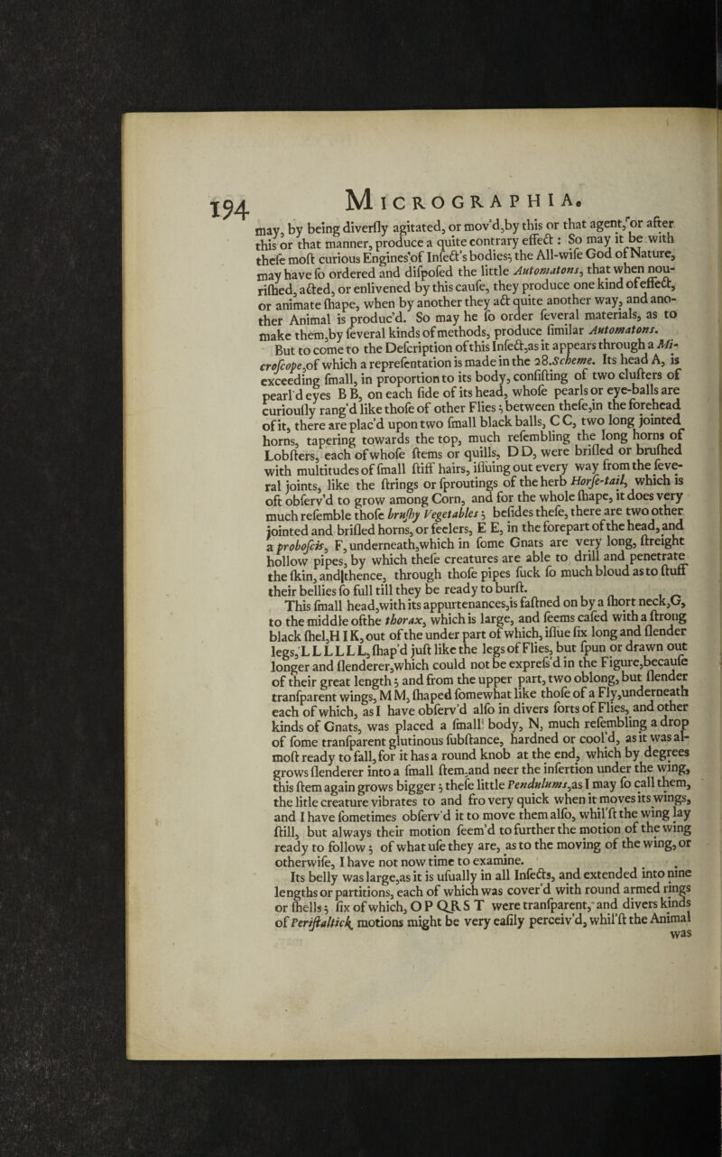 194 may, by being diverfly agitated, or mov’d,by this or that agent, or after this or that manner, produce a quite contrary effeft : So may it be with thel'e moft curious Engines'of Infett’s bodies:, the All-wife God of Nature, may have lb ordered and difpofed the little Automatons ^ that when nou- rilhed, a&ed, or enlivened by this caufe, they produce one kind ol efiett, or animate Ihape, when by another they aft quite another way, and ano¬ ther Animal is produc’d. So may he fo order feveral materials, as to make them,by feveral kinds of methods, produce fimilar Automatons. But to come to the Defcription of this Infe<ft,as it appears through a Mi- crofcopept which a reprefcntation is made in the 28.Scheme. Its head A, is exceeding fmall, in proportion to its body, confiding of two clufters of pearl'd eyes B B, on each fide of its head, whofe pearls or eye-balls are curioully ningcl like thole of other Flies ^between thele^io the forehead of it, there are plac’d upon two (mall black balls, C C, two long jointed horns, tapering towards the top, much refembling the long horns °* Lobfters, each of whole ftems or quills, D D, were bribed or brufhed with multitudes of fmall ftiff hairs, iflhing out every way from the feve¬ ral joints, like the firings orfproutings of the herb Horfe-tad, which is oft obferv’d to grow among Corn, and for the whole lhape, it does very much refemble thofc brujhy Vegetables $ befides thefe, there are two other jointed and bribed horns, or feelers, E E, in the forepart of the head, and a probofciSj F, underneath,which in fome Gnats are very long, ftreight hollow pipes, by which thele creatures are able to drill and penetrate the fkin, and|thence, through thole pipes luck lo much bloud as to {tun their bellies fo full till they be ready to burft. This fmall head,with its appurtenances,is faftned on by a Ihort neck,G, to the middle ofthe thorax, which is large, and leemscaled witha ftrong black lhel,H IK, out ofthe under part of which, ibue fix long and bender legs, LLLLLL,{hap’d juftlike the legsofFlies, but fpun or drawn out longer and benderer,which could not be exprefs’d in the Figure,becaufe of their great length ■> and from the upper part, two oblong, but bender tranfparent wings, M M, lhaped fomewhat like thole of a Fly,underneath each of which, as I have oblerv d alio in divers Ibrts of Flies, and other kinds of Gnats, was placed a fmall? body, N, much refembling a drop of fome tranfparent glutinous lubftance, hardned or cool d, as it was al- moft ready to fall, for it has a round knob at the end, which by degrees grows benderer into a fmall ftem.and neer the infertion under the wing, this ftem again grows bigger , thefe little Pendulums^as I may lb call them, the litle creature vibrates to and fro very quick when it moves its wings, and I have lometimes obferv d it to move them alio, whil ft the wing lay ftill, but always their motion leem’d to further the motion of the wing ready to follow 5 of what ufe they are, as to the moving of the wing, or otherwife, I have not now time to examine. Its belly was large,as it is ufually in all Inle£ts, and extended into nine lengths or partitions, each of which was cover d with round armed rings or (hells 5 fix of which, O P QjlS T were tranfparent, and divers kinds o{Periftaltkk. motions might be very eafily perceiv’d, whil’ft the Animal was