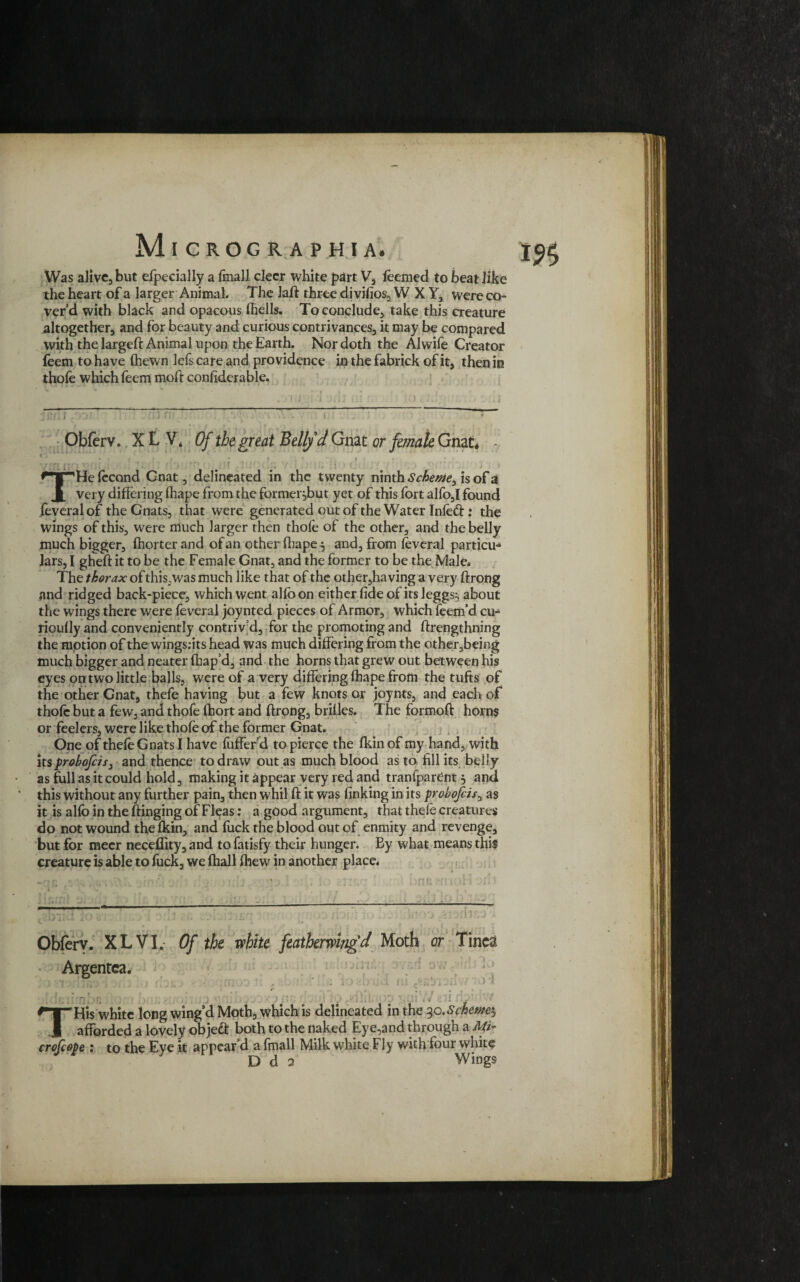 Was alive, but efpecially a fmall eleer white part V, leemed to beat like the heart of a larger Animal. The laft three di vifios, WXY, were co¬ ver’d with black and opacous Ihells. To conclude, take this creature altogether, and for beauty and curious contrivances, it may be compared with the largeft Animal upon the Earth. Nor doth the Alwife Creator feem to have (hewn lefs care and providence in the fabrick of it, then in thofe which feem moft confiderable. Obferv. XL V4 Of the great Betty d Gnat or female Gnat* - • * ?!,r • i '« F f * / rm r . . THe lecond Gnat, delineated in the twenty ninth Scheme, is of a very differing fhape from the former jbut yet of this fort alfo,I found feveral of the Gnats, that were generated out of the Water Inledf: the wings of this, were much larger then thole of the other, and the belly much bigger, Ihorter and of an other fhape 5 and, from feveral particu¬ lars, I gheft it to be the Female Gnat, and the former to be the Male* The thorax of this, was much like that of the other,having a very ftrong and ridged back-piece, which went allbon either fide of its leggs:, about the wings there were feveral joynted pieces of Armor, which feem’d cu- rioully and conveniently contriv’d, for the promoting and ftrengthning the motion of the wings;its head was much differing from the other,being much bigger and neater lhap’d, and the horns that grew out between his eyes on two little balls, were of a very differing lhape from the tufts of the other Gnat, thefe having but a few knots or joynts, and each of thofe but a few, and thofe fhort and ftrptig, brilles. The formoft horns or feelers, were like thole of the former Gnat. One of thefe Gnats I have lufferd to pierce the fkin of my hand, with its probofiis, and thence to draw out as much blood as to fill its belly as full as it could hold, making it appear very red and tranfparent 5 and this without any further pain, then whil ft it was finking in its probofiis, as it is allb in the ftinging of Fleas: a good argument, that thefe creatures do not wound the Ikin, and fuck the blood out of enmity and revenge, but for meer neceflity, and to fatisfy their hunger. By what means this creature is able to fuck, we (hall Ihew in another place* 'i Obferv. XL VI. Of the white featherwingd Moth or Tinea Argentea. o *1 .dltL > J11 Jlx' . - f , * i V Z II 'His white long wing’d Moth, which is delineated in the 30.Schemas _ afforded a lovely objett both to the naked Eye,and through a Mi- crofiope : to the Eye it appear d a Imall Milk white Fly with lour white