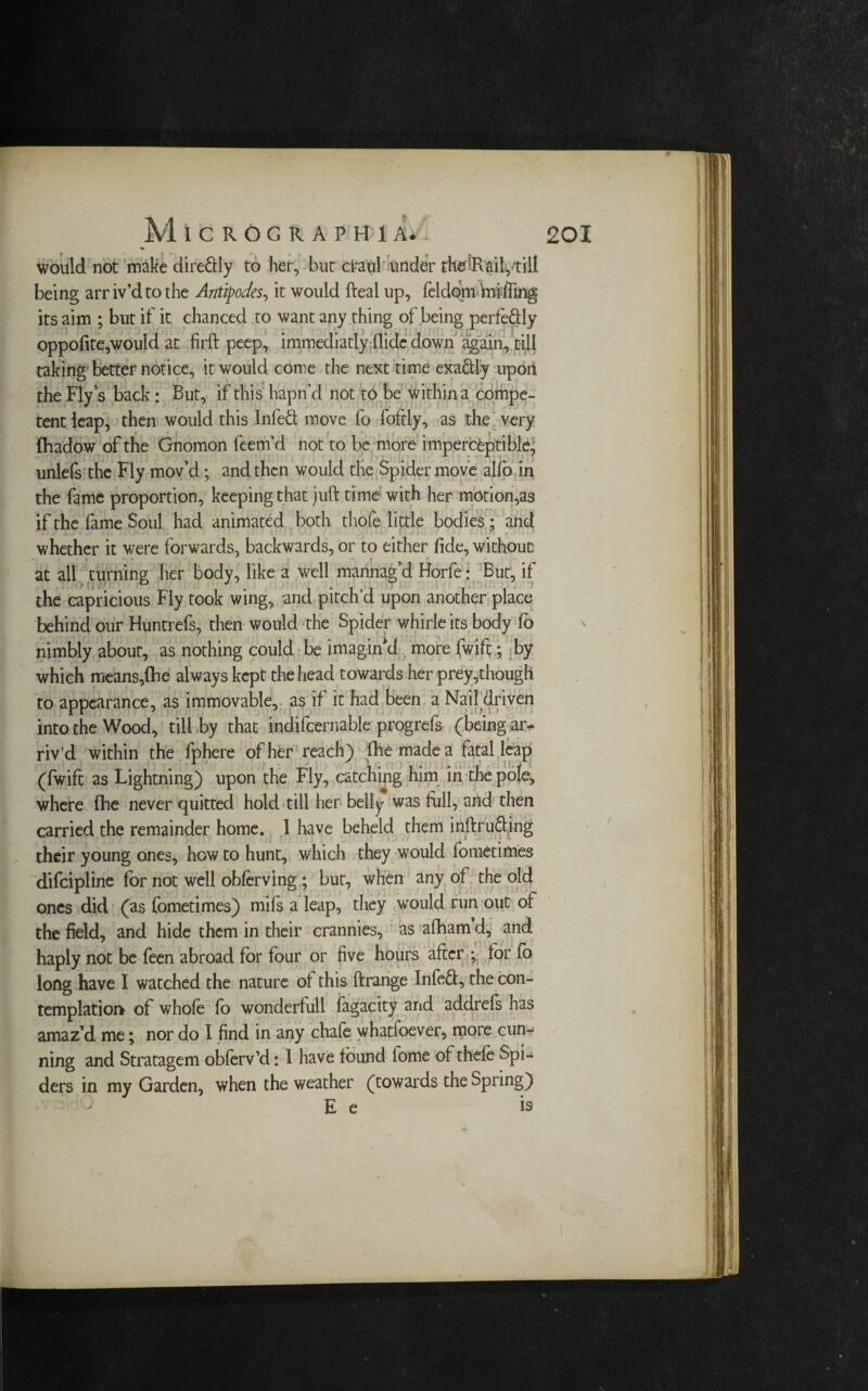 would not make dire&ly to her, but ctaul under thefiR ail, till being arriv’d to the Antipodes, it would fteal up, feldom huffing its aim ; but if it chanced to want any thing of being perfectly oppofite,would at firft peep, immediatly Hide down again, till taking better notice, it would come the next time exactly upon the Flys back: But, if this hapn’d not to be within a compe¬ tent leap, then would this Infeft move fo fofdy, as the very fhadow of the Gnomon feem’d not to be more imperceptible, unlefs the Fly mov’d; and then would the Spider move alfo in the fame proportion, keeping that juft time with her motion,as if the fame Soul had animated both thofe little bodies; and whether it were forwards, backwards, or to either fide, without at all turning her body, like a well mannag’d Horfe • But, if the capricious Fly took wing, and pitch’d upon another place behind our Huntrefs, then would the Spider whirle its body fo nimbly about, as nothing could be imagined more fwifi;; :by which means,fhe always kept the head towards her prey,though to appearance, as immovable, as if it had been a Nail driven into the Wood, till by that indifcernable progrefs (being ar* riv’d within the fphere of her reach) die made a fatal leap (fwift as Lightning) upon the Fly, catching him in the pole, where fhe never quitted hold till her belly was full, and then carried the remainder home. 1 have beheld them inftrufting • * their young ones, how to hunt, which they would fometimes difeipline for not well oblerving ; but, when any of the old ones did (as fometimes) mifs a leap, they would run out of the field, and hide them in their crannies, as alham d, and haply not be feen abroad for four or five hours after ; tor fo long have I watched the nature ot this ftrange Infeft, the con¬ templation of whole fo wonderfull fagacity and addrefs has amaz’d me; nor do I find in any chafe whatfoever, more cun¬ ning and Stratagem oblerv’d: 1 have found tome of thele Spi¬ ders in my Garden, when the weather (towards the Spring) E e is