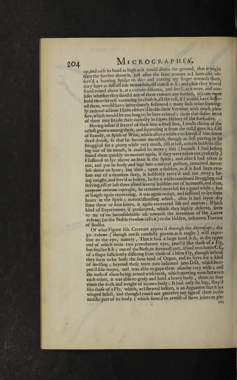up and raife its head as high as it could above the ground that it might Hare the further about it, juft after the fame manner as I have alio ob- ferv'd a hunting Spider to do: and putting my finger towards them thev have at firft all run towardsit,tillalnioft at it; and then they would Hand round about it, at a certain diftance, and fmell, as it were, and con- fider whether they thould any of them venture any further, till one more bold then the reft venturing to climb it,all the reft, if 1 would have fuffer- ed them would have immediately followed : • many fuch other feeming- lv rational aftions I have obferv’d in this little Vermme with much plea- fore which would be too long to be here related 5 tliofe that defire more of them may fatisfie their curiofity in Ligons Hiltory of the Barbados, Having infoar'd leveral of thele into a imall Box, I made choice of the talleft grown among them, and feparating it from the reft,I gave 1ta-p3.ll of Brandy, or Spirit of Wine, which after a while e en knock d him down dead drunk, fo that he became movelefs, though at firft putting ,n he ftruggled for a pretty while very much, till at 1 aft, certain bubbles lilu- ing out of its mouth, it ceafed to move 5 this ( became 1 had before found them quickly to recover again, if they were taken out prefently ) I fuffered to lye above an hour in the Spirit $ and alter I had taken it out, and put its body and legs into a natural polture, remained movc- lefs about an hour 5 but then , upon a fudden, as if it had been awa¬ ken out of a drunken deep, it fuddenly reviv d and ran away 5 be¬ ing caught, and ferv’d as before, he for a while continued iiruggling and ftrivingdill at laft there ilfued feveral bubbles out of its mouth,and then, tanquam animam expiraffet^ he remained movelefs for a good while 5, but at length again recovering, it was again redipt, and fullered to lye lome hours in the Spirit 5 notwithftanding which, alter it had layen dry fome three or four hours, it again recovered life and motion : Which kind of Experiments, if profecuted, which they highly delerve, leem to me of no inconfidefable ule towards the invention of the Latent Scheme, (as the Noble Verulam calls it) or the hidden, unknown Texture Of what Figure this Creature appear’d through the Aiicrofcope, the 22. Scheme fthough notfo carefully graven as it ought) will repre- Sent to the eye, namely. That it had a large head A A, at the upper end of which were two protuberant eyes, pearl d like thole ol a fcly^ but fmaller BB 5 out of the Nofc,or foremoft part, lflued two horns C C, of alhape fufficiently differing from thofe of a blew Fly, though indeed they feem to be both the fame kind of Organ, and toderve for a kin of fmelling , beyond thefe Were two indented jawsDD, which he o- pend fide-wayes, and was able to gape them afunder very wide 5 and the ends of them being armed with teeth, which meeting went between each other, it was able to grafp and hold a heavy body 3 three or loui times the bulk and weight of its own body: It had only fix legs, thapd like thofe of a Fly, which, as I fhewed before, is an Argument that it is a winged Infedt, and thoughlcould not perceive any fignof. them in the middle part of its body (which feem’dto confift of three joints or pie- v v S