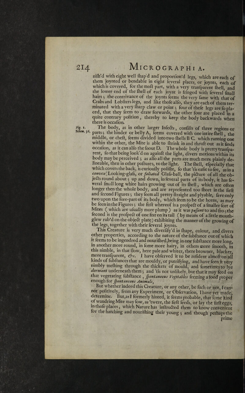 nifh’d with eight well fhap’d and proportion’d legs, which are each of them joynted or bendable in eight feveral places, or joynts, each of which is covered, for themoft part, with a very tranfparent (hell, and the lower end of the fhell of each joynt is fringed with feveral’fmall hairs 3 the contrivance of the joynts feems the very fame with that of Crabs and Lobfterslegs, and like thofe alfo, they are each of them ter¬ minated with a very fharp claw or point 3 four of thefe legs are fo pla¬ ced, that they feem to draw forwards, the other four are placed in a quite contrary pofition, thereby to keep the body backwards when there is occafion. The body, as in other larger Infetts, confifts of three regions or parts 3 the hinder or belly A, feems covered with one intire fhell 3 the middle, or cheft, feems divided into two {hells B C. which running one within the other, the Mite is able to fhrink in and thruft out as it finds occafion, as it can alfo the fnout D. The whole body is pretty transpa¬ rent, fo that being look’d on againft the light, divers motions within its body may be perceived 3 as alfo all the parts are much more plainly de- lineable, then in other poftures, to the light. The fhell, efpecially that which covers the back, is curioufly polifht, fo that ’tis eafie to fee, as in a convex] Looking-glafs, or foliated Glafs-ball, the pifture of all the ob- jefts round about 3 up and down, in feveral parts of its body, it has fe¬ veral fmall long white hairs growing out of its fhell, which are often longer then the whole body, and are reprefented too fhort in the firft and fecond Figures 3 they feem all pretty ftraight and plyable, fa ve only two upon the fore-part of its body, which feem to be the horns, as may be feen in the Figures 3 the firft whereof is a profpeft of a fmaller fort of Mites ( which are ufually more plump) as it waspafant to and fro 3 the fecond is the profpeft of one fixt on its tail ( by means of a little mouth- glew rub’d on the obje<ft plate) exhibiting the manner of the growing of the legs, together with their feveral joynts. This Creature is very much diverfify’d in fhape, colour, and divers