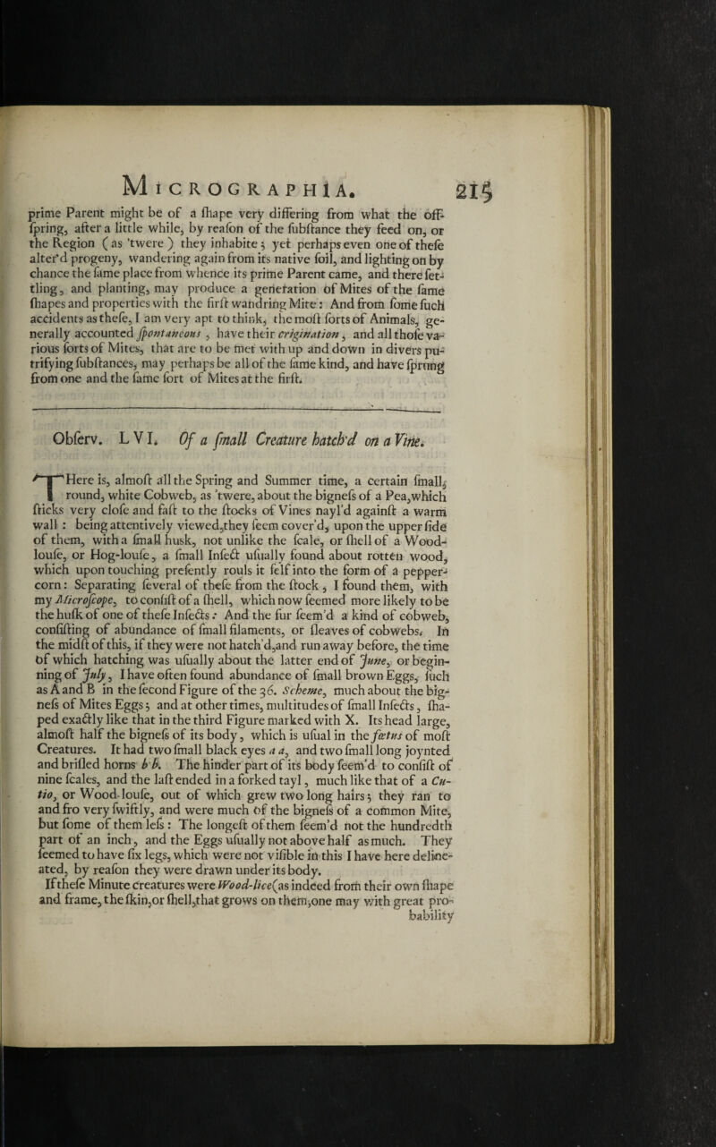 prime Parent might be of a iliape very differing from what the off- fpring, after a little while;, by reafon of the fubftance they feed on, or the Region (as ’twere ) they inhabited yet perhaps even one of thefe alter’d progeny, wandering again from its native foil, and lighting on by chance the lame place from whence its prime Parent came, and there fet¬ tling, and planting, may produce a generation of Mites of the fame fhapes and properties with the firff wandring Mite: And from fomefuch accidents as thefe, I am very apt to think, the molt forts of Animals, ge¬ nerally accounted Jpontaneous , have their origination i and all thofe va¬ rious forts of Mites, that are to be met with up and down in divers pu- trifying fubltances, may perhaps be all of the fame kind, and have fprung from one and the fame fort of Mites at the firfh Obferv. LVL Of a [mall Creature hatch'd on a Vine. THere is, almolt all the Spring and Summer time, a certain finally round, white Cobweb, as ’twere, about the bignefsof a Pea,which (ticks very clofe and fait to the ftocks of Vines nayl d againft a warm wall : being attentively viewed,they feem cover’d, upon the upper fide of them, with a final! husk, not unlike the fcale, or fhellof a Wood- loule, or Hog-loufe, a fmall Infeft ufually found about rotten wood, which upon touching prefently rouls it felfinto the form of a pepper-5 corn: Separating feveral of thefe from the ftock , I found them, with my Alicrofcopc, to confift of a fhell, which now feemed more likely to be the hufk of one of thefe Infe&s •* And the fur feem’d a kind of cobweb, confiffing of abundance of fmall filaments, or Heaves of cobwebs. In the midft of this, if they were not hatch’d,and run away before, the time t>f which hatching was ufually about the latter end of June^ or begin¬ ning of July, I have often found abundance of fmall brown Eggs, fucll as A and B in the fecond Figure of the 3 6. Scheme, much about the big¬ nels of Mites Eggs 5 and at other times, multitudes of fmall Infe&s, fha- ped exa&ly like that in the third Figure marked with X. Its head large, almoft half the bignels of its body, which is ufual in thz foetus of mod Creatures. It had two fmall black eyes a a, and two fmall long joynted and brifled horns b b. The hinder part of its body feem’d to confid of^ nine fcales, and the laft ended in a forked tayl, much like that of a Cu- tio3 or Wood-loufe, out of which grew two long hairs 3 they ran to and fro very fwiftly, and were much of the bignels of a common Mite, but fome of themlefs : The longed of them feem’d not the hundredth part of an inch, and the Eggs ufually not above half as much. They feemed to have fix legs, which were not vifible in this I have here deline¬ ated, by reafon they were drawn under its body. If thefe Minute creatures were Wood-lice(as indeed from their own fliape and frame, thefkin,or fhell,that grows on them,one may with great pro^ babilitv