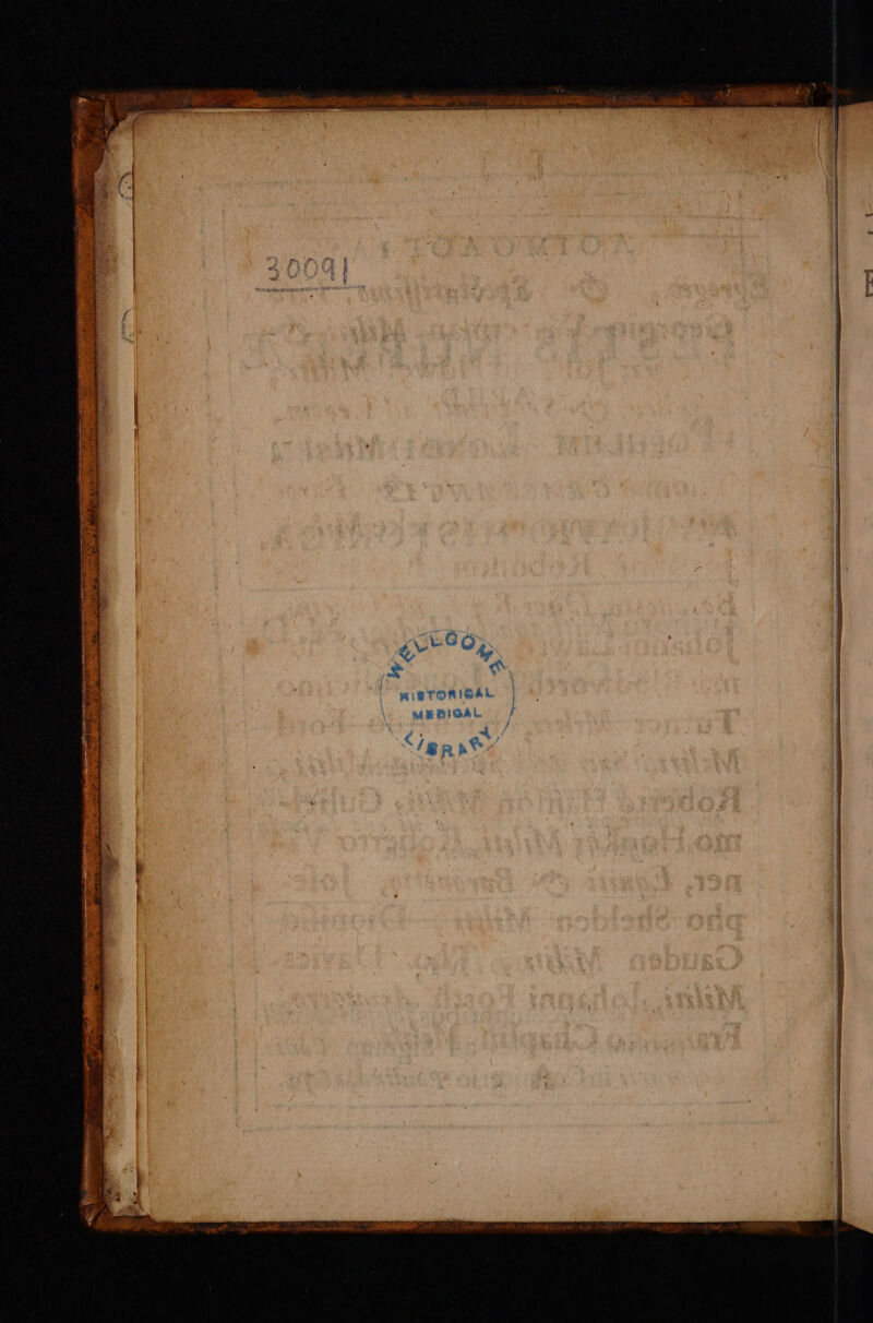 € Wig TORISAL Í MEBIGAL / / 4 / |