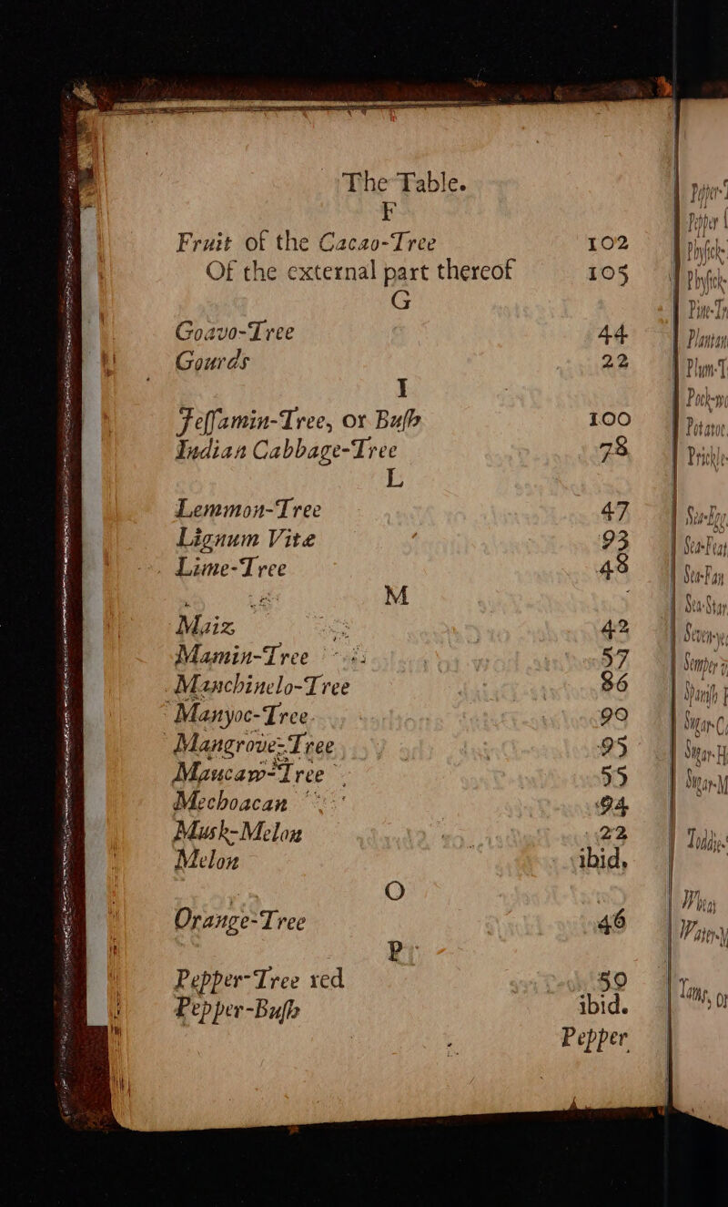 SAS ti GE AES ta tite cars Se at rag 5 * SE RAID Re wget ane EB ARSE Et St AA TS SEE NIN SS SEINE Fruit of the Cacao-Tree 102 Of the external part thereof 105 G Goavo-Tree Ad Gourds 22 I Feflamin-Tree, or Bufe 100 Indian Cabbage-Tree 78 L Lemmon-Tree 47 Lignum Vite | : 93 Maize SS : 42 Mamin-Tree > .+: | 57 Mgucaw-Tree 55 Mechoacan “*':' O4 Musk-Melou ta 22 Melon : ibid, Orange-Tree 46 Pp Pepper-Tree red | op 8O Pepper-Bufh ibid. |] Odds iin Pare
