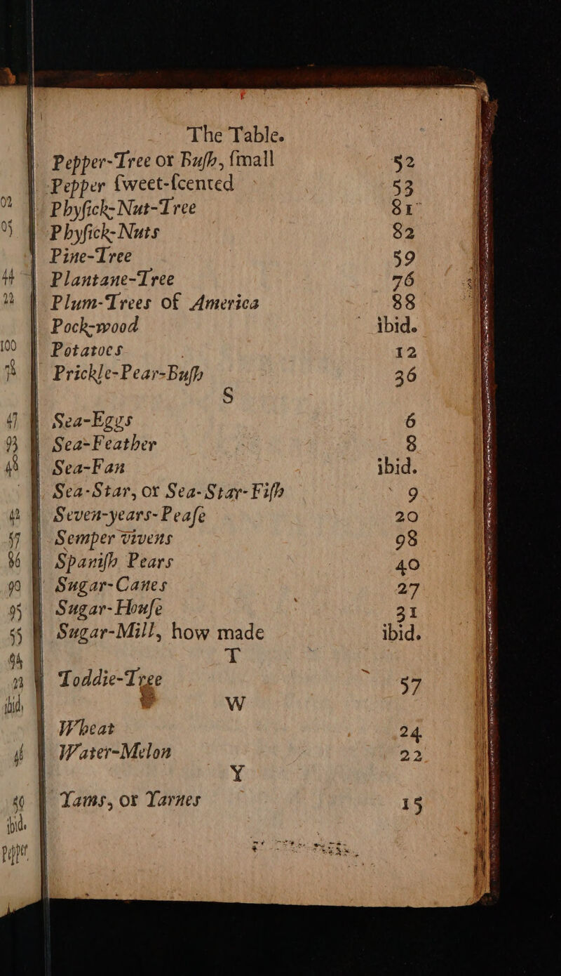 | Pepper-Tree or Buh, {mall | Pepper {weet-fcented Phyfick- Nut-Tree | Pbhyfick- Nuts | Pine-Tree | Plantane-Tree | Plum-Trees of America | Pock-wood | Potatoes ) . | Prickle-Pear-Bujh | Sea-kgys | Sea-Feather | Sea-Fax | Sea-Star, or Sea-Star-Fifh | Seven-years-Peafe | Semper vivens | Spanifh Pears |) Sugar-Canes Swgar-Mill, how made H T | W ) Wheat { | Water-Melon | Yams, or Yarnes SE TIO, eS On Ne eS ee a i ee es FLO BDA ANE cen eh tne te N AY REC LSA MRSA ae PER IT SNARE AIRE OT ER 0 AE