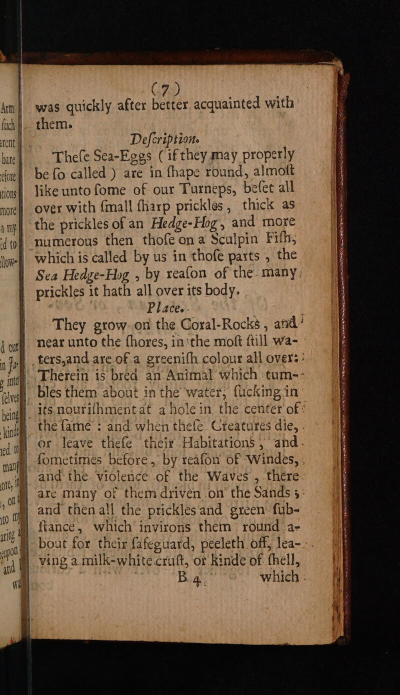 Atm fuich | bate | efore Ons more f ? C7 was quickly after better acquainted with them. Defcription. Thefe Sea-~Eggs (if they may properly be fo called ) are in fhape round, almott like unto fome of our Turneps, befet all over with {mall {harp prickles, thick as- the prickles of an Hedge-Hog, and more which is called by us in thofe pasts , the Sea Hedge-Hog , by reafon of the. many. prickles it hath all over its body. Place.. : They grow.on the Coral-Rocks , and’ ters,and.are.of.a greenifh colour all over: : Therein is bred an: Animal which ‘tum-- bles them about in the water, fucking in the fame : and when thefe. Greatures die, . or leave thefe their Habitations’ , and. fometimes before, by reafon’ of ‘Windes, , and the. violence of the Waves , there. are many of them driven .on the Sands 3: and then all the prickles and green fub- fiance, which invirons them round a- ving a. milk-white.cruft, or kinde of fhell, eg: nls Un ee RE wIRIPONES AS RRS art YAO EER i Nr A =