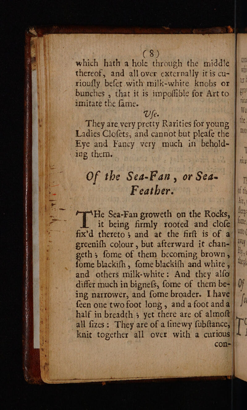 IA SESE Sp SRE ss pe en ES Shae pays (ee ; Rea Set heh Sores SSS ee nil eT eae ARS OA 8 tS mY EAR ak en i pe SPL rep actin ine imitate the fame. Vie. Fye and Fancy very much in behold- ing them. Of the Sea-Fan, or Sea- Feather. :