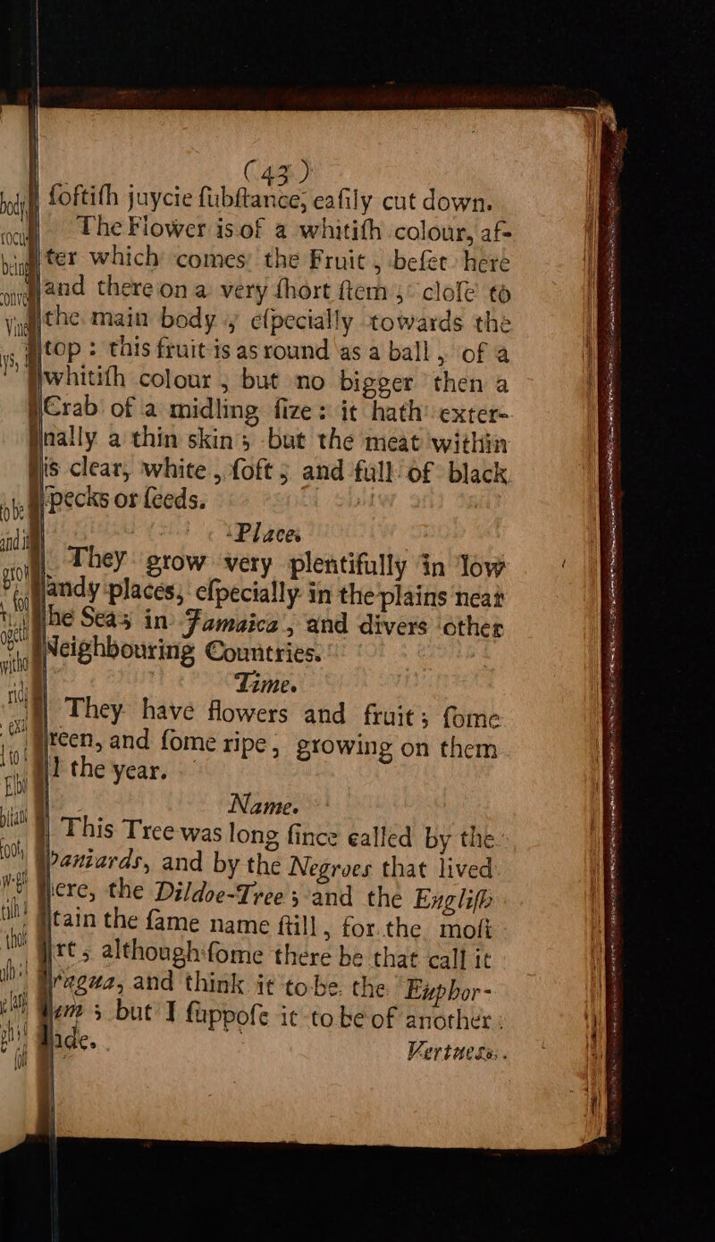 Cae ) foftith juycie fubltanee eafily cut down. | The Flower is of a whitith colour, af iter which comes’ the Fruit j befer here Hand thereon a very fhort ftem 4° clofe to ithe main body y cfpecially towards the . top : this fruit-is as round ‘as a ball , of a whitith colour, but no bigger then a Crab: of a midling fize: it hath: exter- Hnally a thin skins -but the meat within | 5 and full of black, ‘Places They grow very plentifully in low . wandy places, efpecially. in theplains neat he Seas in Jamaica, and divers ‘other ° eNcighbouring Countries. 1 : Lime. | They have flowers and fruit; fome l\ { /#fecn, and fome ripe, growing on them WT the year. me Name. | This Tree was long fince ealled by the pantards, and by the Negroes that lived iere, the Dildoe-Tree sand the Englifp tain the fame name ftill , for.the mofi jt; although:fome there be that call it , Wfegua, and think it to-be. the Eupbor- i) Gem + but I fuppofe it to be-of another: 7 ade. Vertaess:. ~~ Fe a eer oe ea IE SS Sct PEE RIALTO — aN ————— ae a a ae eee Go ne OLR EN BBN EYER TNE REN er REA BEES IE SE HIRI RS ra Se