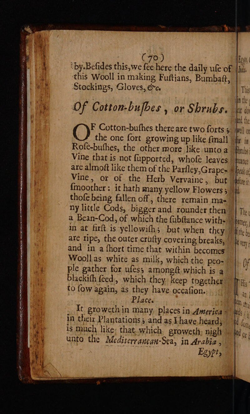this Wooll in making Fuftians, Bumbatft, ‘Stockings, Gloves, @c. Of Cotton-bufbes &gt; or Shrubs. ple gather for ufes,; amongft. which is a blackifh feed, which they keep together to fow again, as they have occafion. Place. It growethin many, places in America - in their Plantations and as Lhave héard; is much like, that. which. groweth nigh unto the Mediterranean-Sea, in Arabia , ibe a SA ad 3 Egypt, iy ii} , ( | this, Bed the