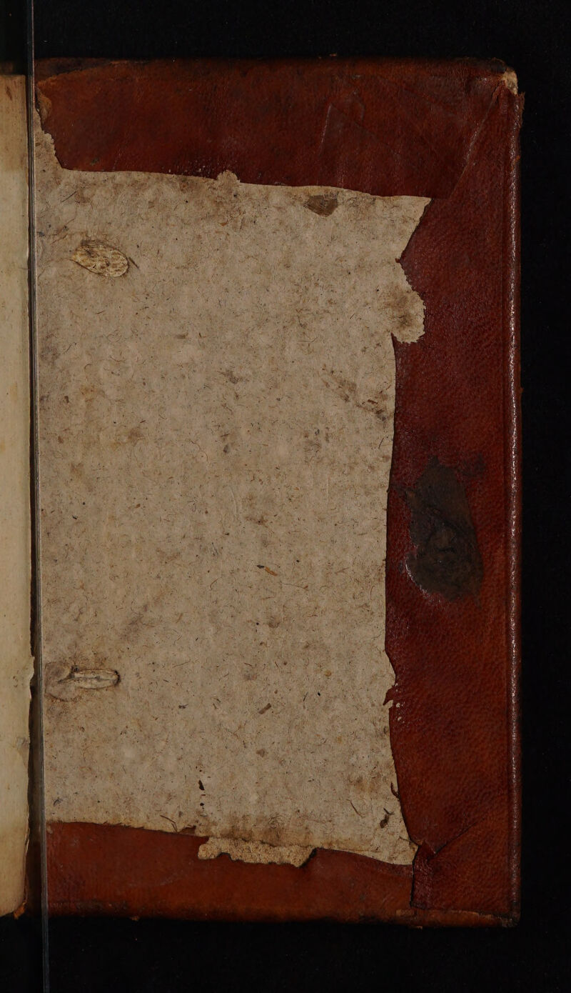 nt GS SNE SE TIS ps SR REAR ENS Ae Sete OPAL SONAEETD: Nip om TAR HY ONS Soe =e ieee a EON a CECE A ING GONE ILI BEES