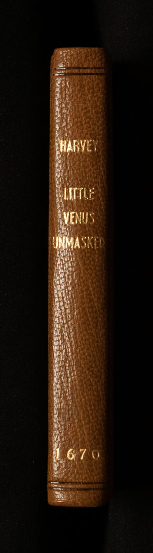 digitised image 2