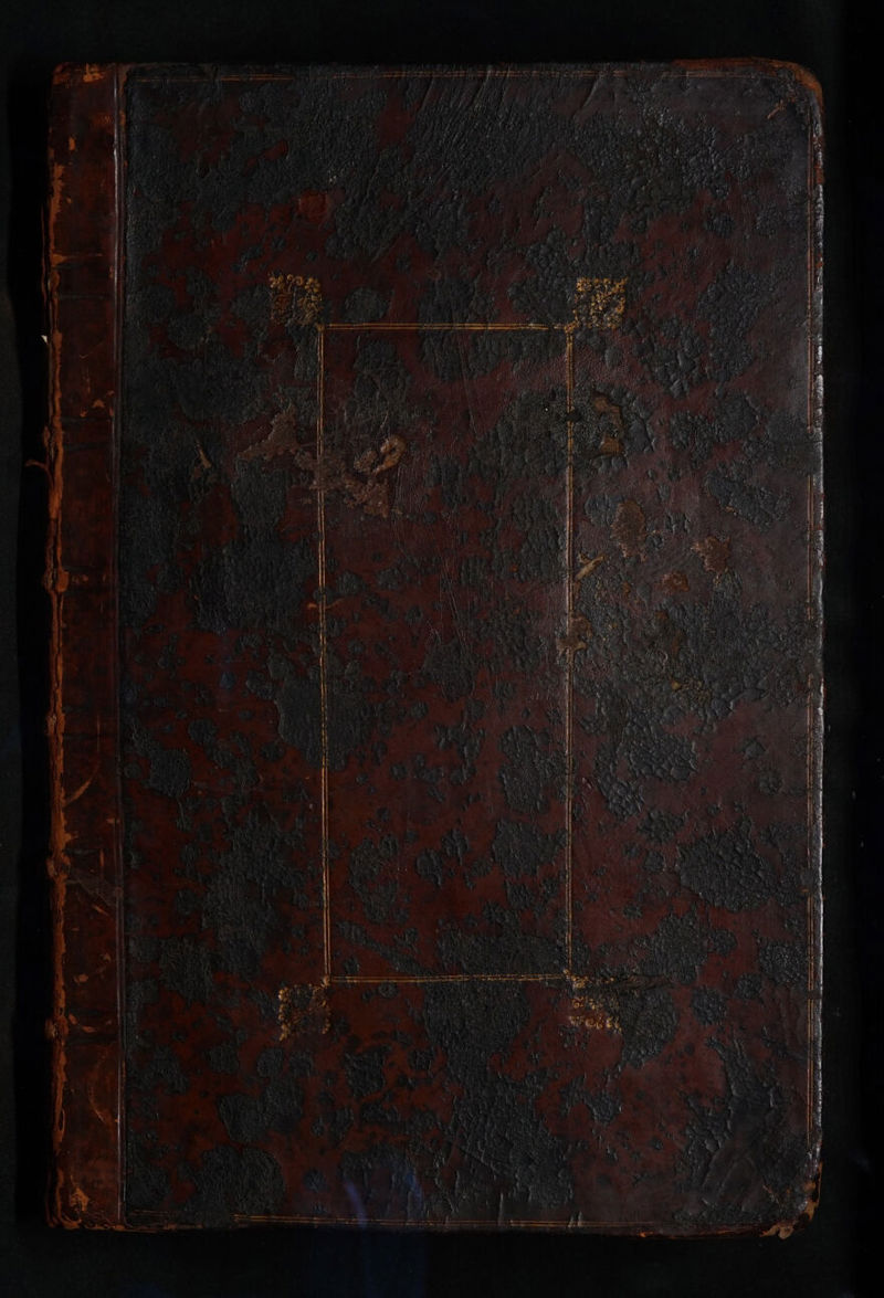 No text description is available for this image