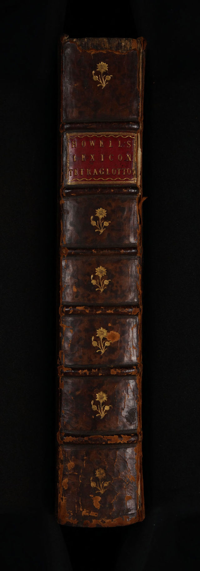 No text description is available for this image