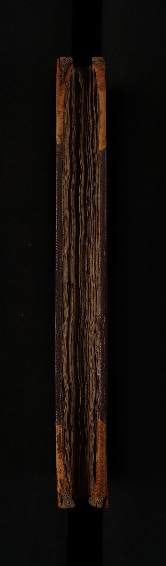 digitised image 3