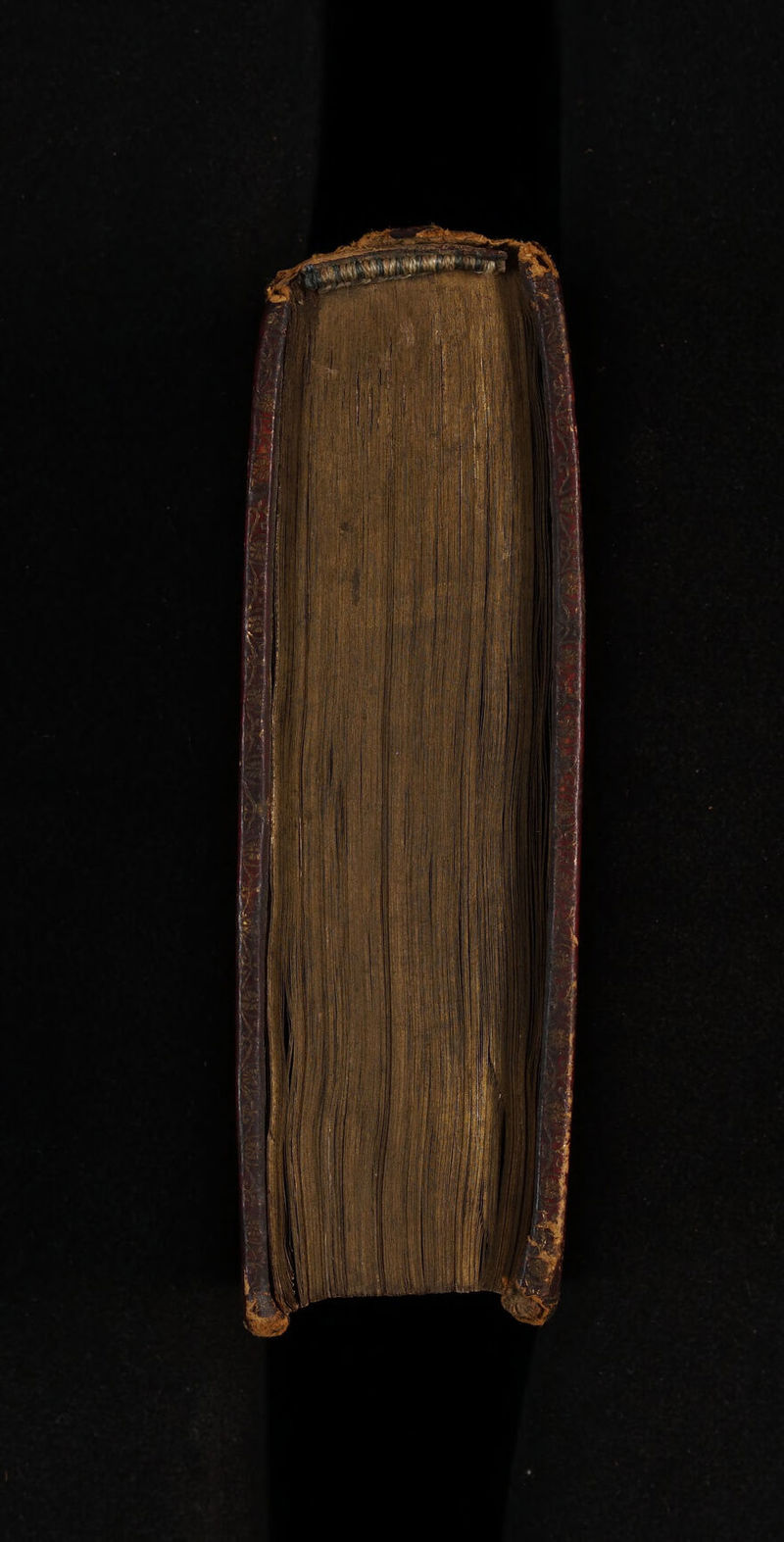 No text description is available for this image