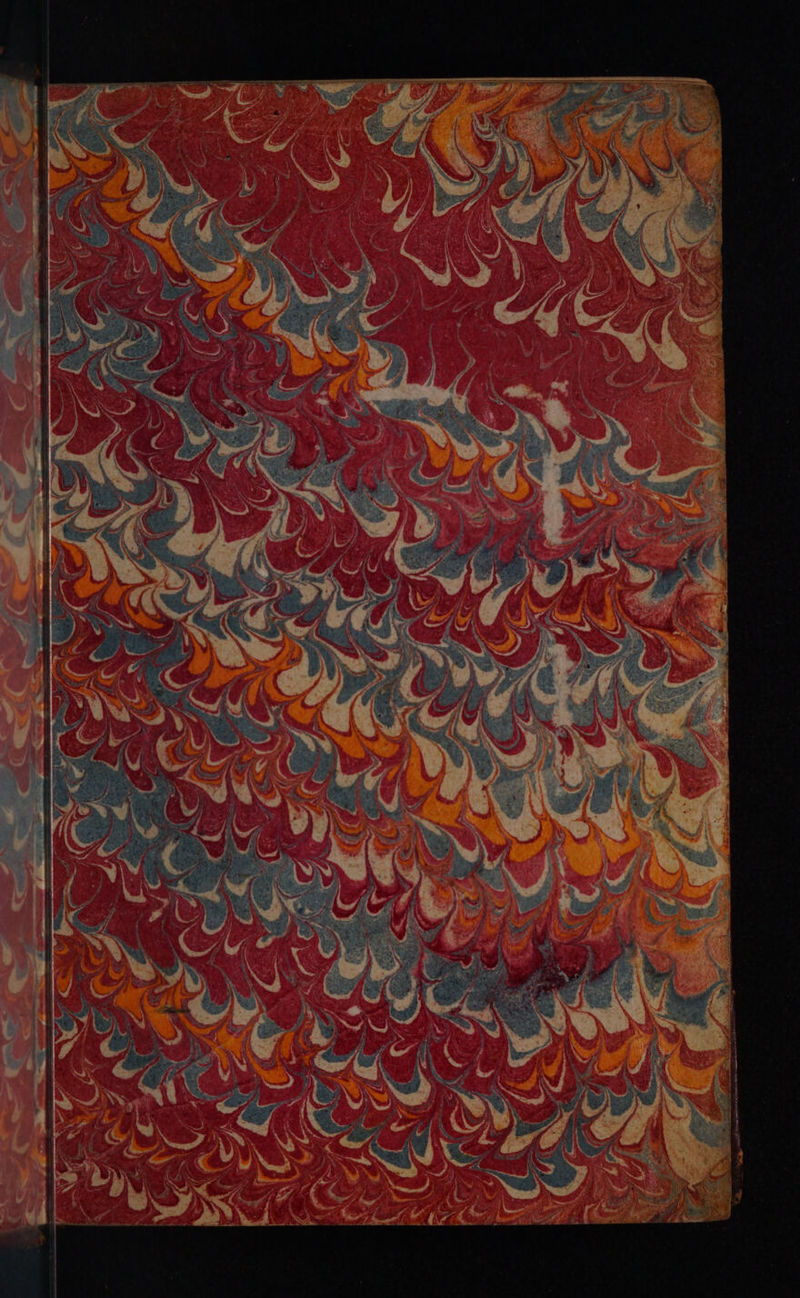 No text description is available for this image