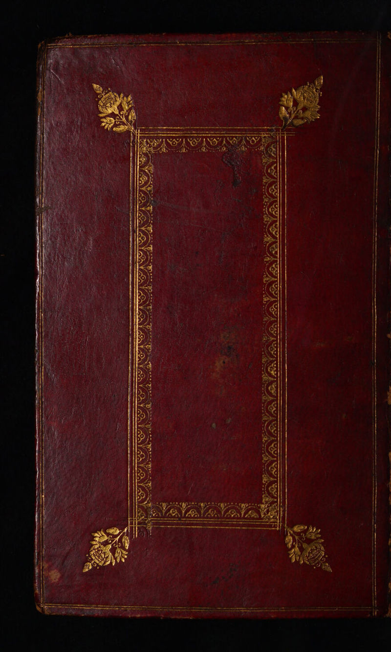 TS ere rere moe a RS ER rr em repery -— . ~atesinon = eee £ ee —— enc fin eae —_—— iciiveleeedhstaeeeeeeneneeeeeee eee ieisisielibiedsessesssseimn + rn ‘ é ’ * we