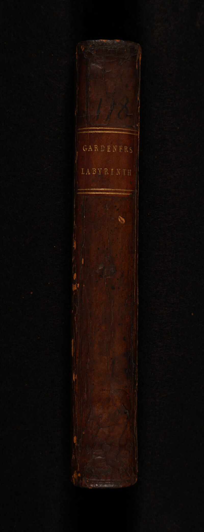 ' - i ' ■ “v L I GARDEJfFRs IABYB.T X T;: r f M 4 i I i r X .) £' t: f : i I & ! / i (< ili ■' M u f ■!# Ilf ?; All ,f‘ * 'z.fi • y