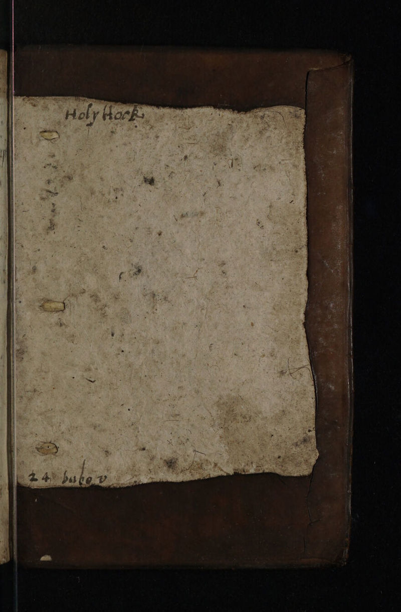 No text description is available for this image