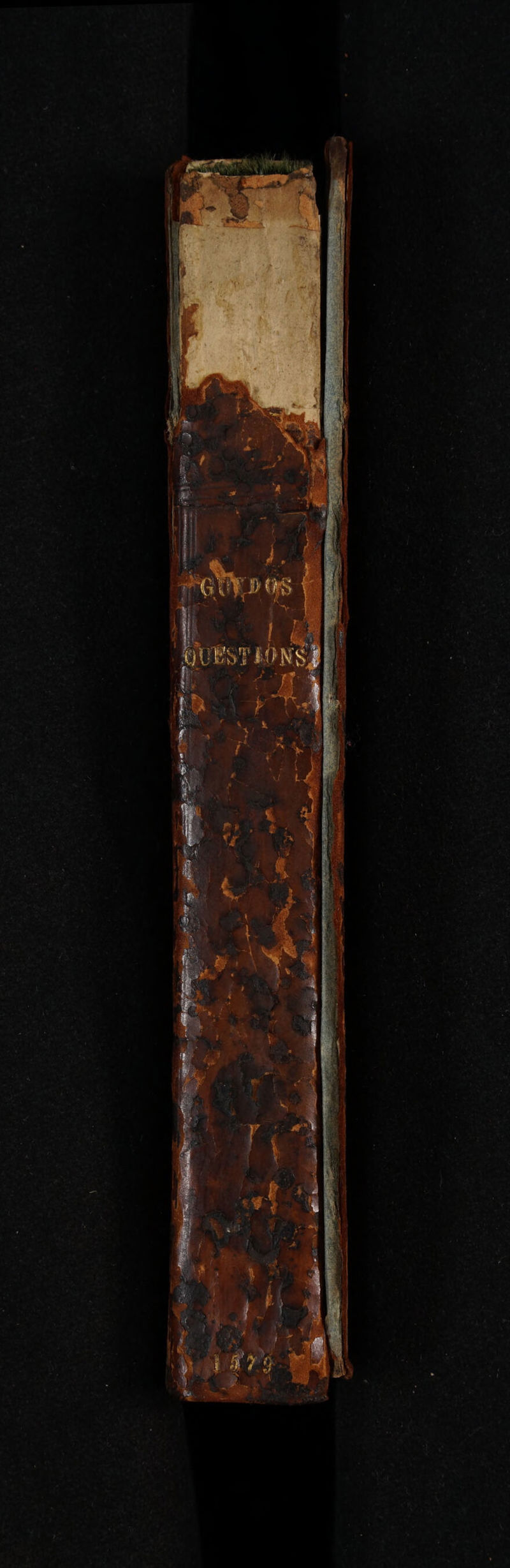 No text description is available for this image