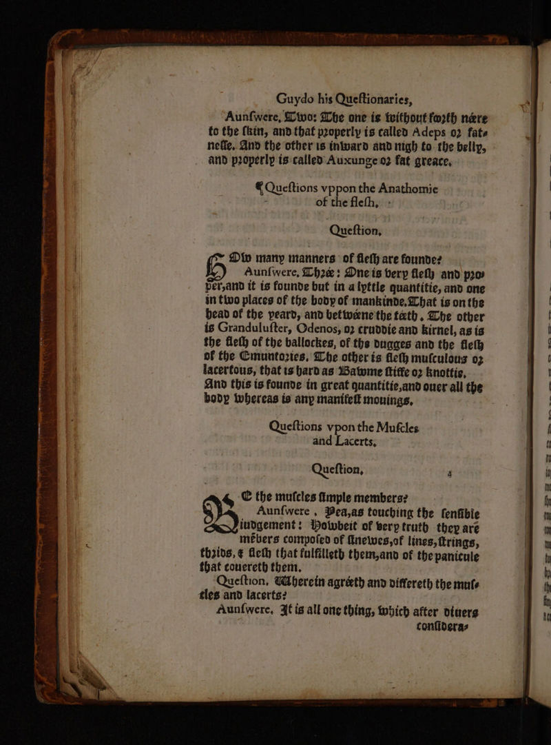 Aunfwere, Dino: Whe one i¢ twithout forth nere fo the (kin, and that properly ts callea Adeps 02 fate nefig,. And the other ts inivard and nigh to. the belly, _. aNd properly ts-called Auxungeo? fat greace, Queftions vppon the Anathomie ‘ of the flefh,. - Queftion, Dw many manners of flefh are founde2 Aun{were, Lhe: Dneis very fle and pro per,and tt is founde but in alyttle quantitie, and one in tivo places of the body of mankinde, What is onthe bead of the peard, and bettucne'the tath. Whe other is Grandulufter, Cdenos, 02 cruddie and kirnel, as is the fleth of the ballockes, of the nugges and the felh of the Cmuntoztes. Whe other ts fleth mufculons o2 lacertous, that ts bard as Batome ftiffe o2 Knottic, And this ts founde in great quantitie,and ouer all the boby whereas is any manifelt mouings, Queftions vpon the Mufcles and Lacerts, Queftion, : € the mufcles fimple members? 35 Aunfwere , Bea,as touching the fenfible yiudgement: Wowbeit of very truth they are mébers comtpofed of fnewes,of lines, trings, thins, € eth that fulfitleth them,and of the panicule that conereth them. Queftion, Wherein agréeth and differeth the mute tles and lacerts? | Aunfwere, Af is all one thing, obich after diners confideras So > ~*~, oe 2S | 6 Oe ——